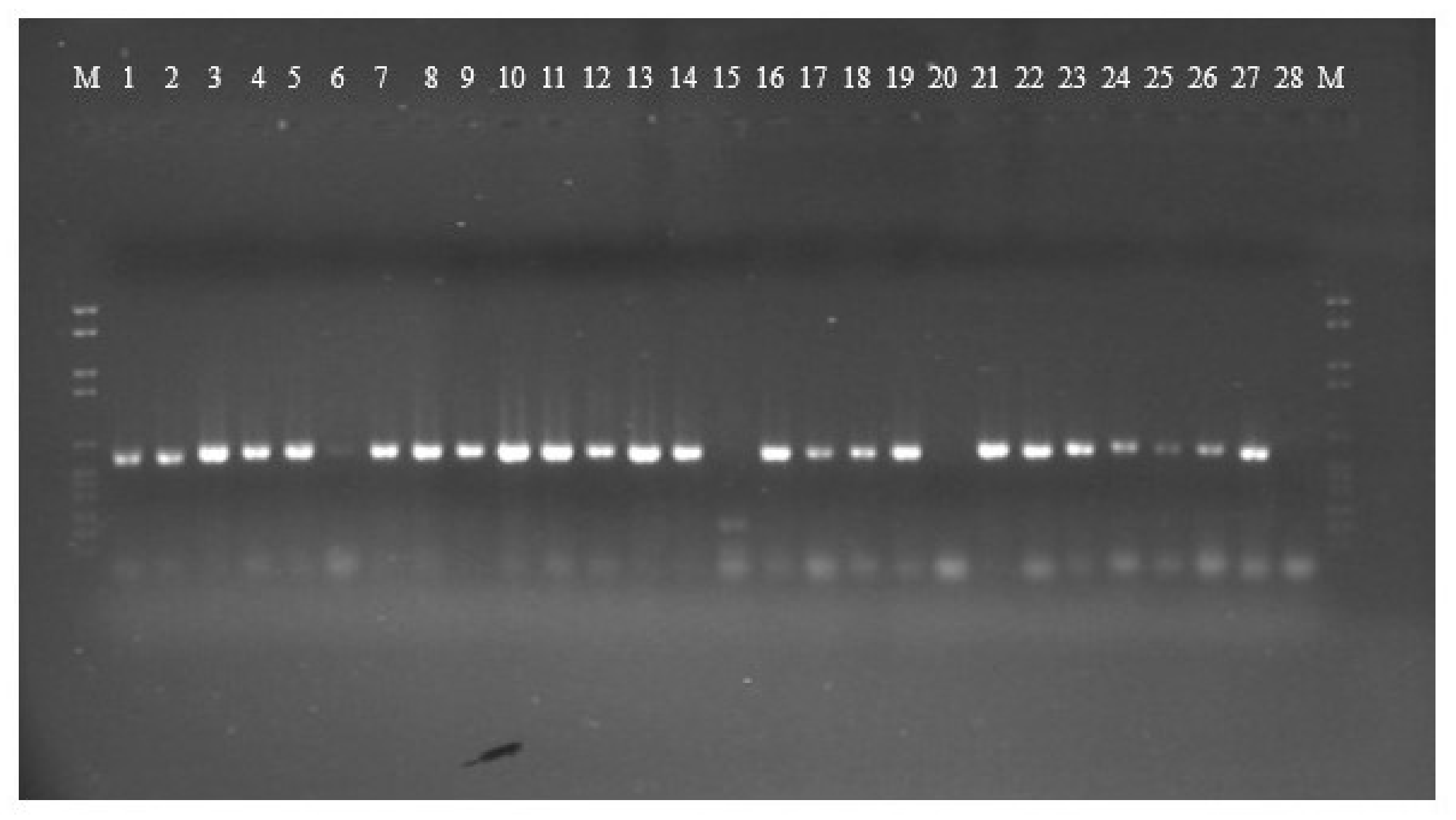 Toxins 12 00056 g001