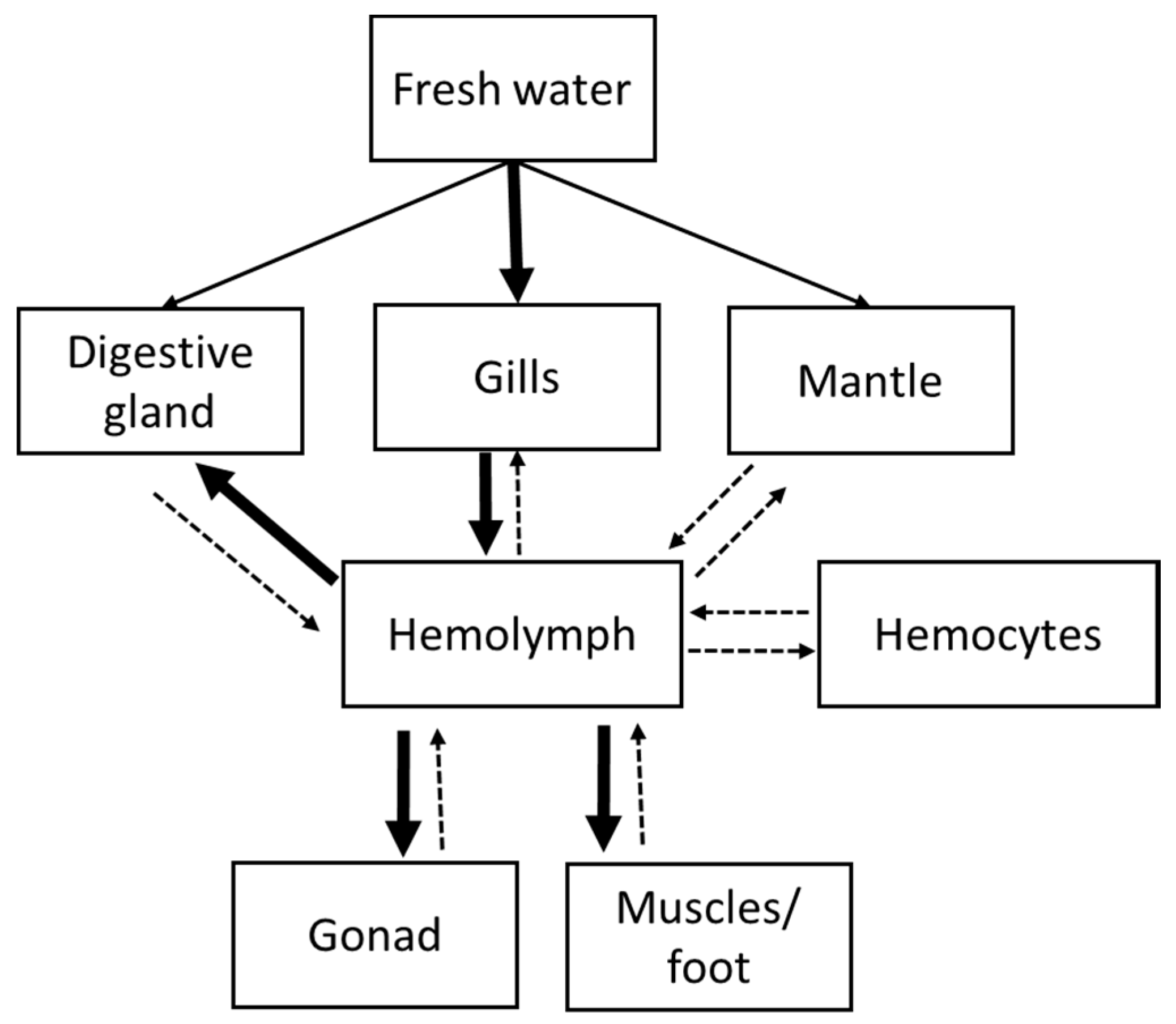 Toxins 12 00061 g004 Toxins 12 00061 g004