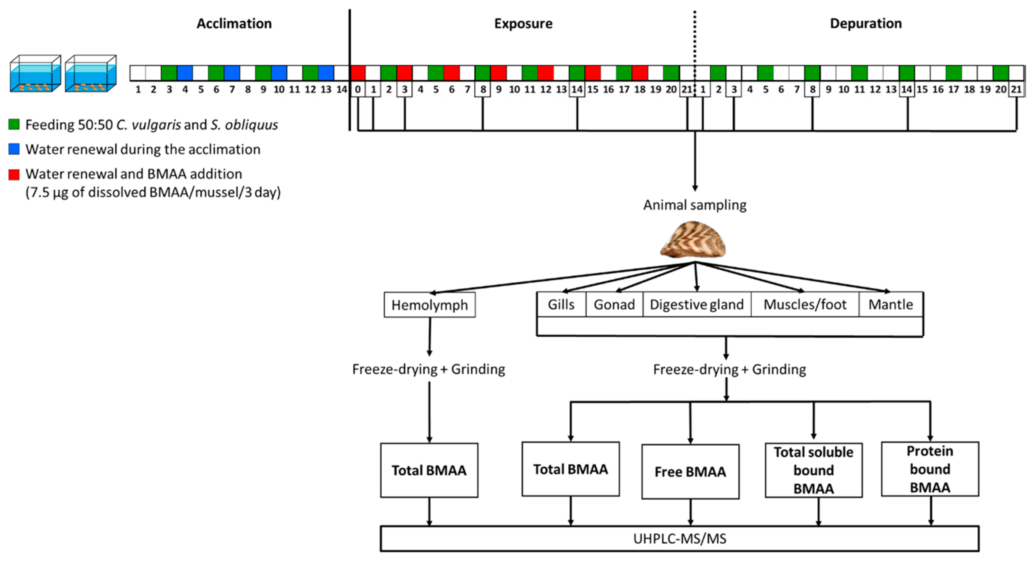 Toxins 12 00061 g005 Toxins 12 00061 g005