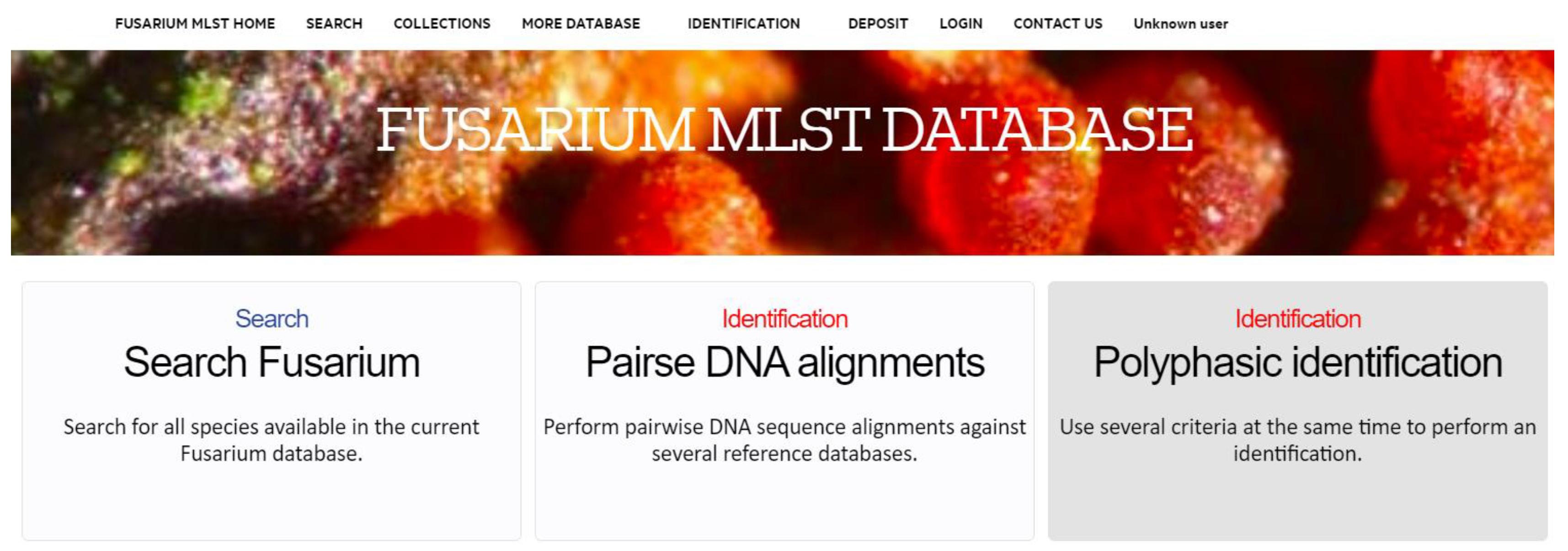 Toxins 12 00064 g001