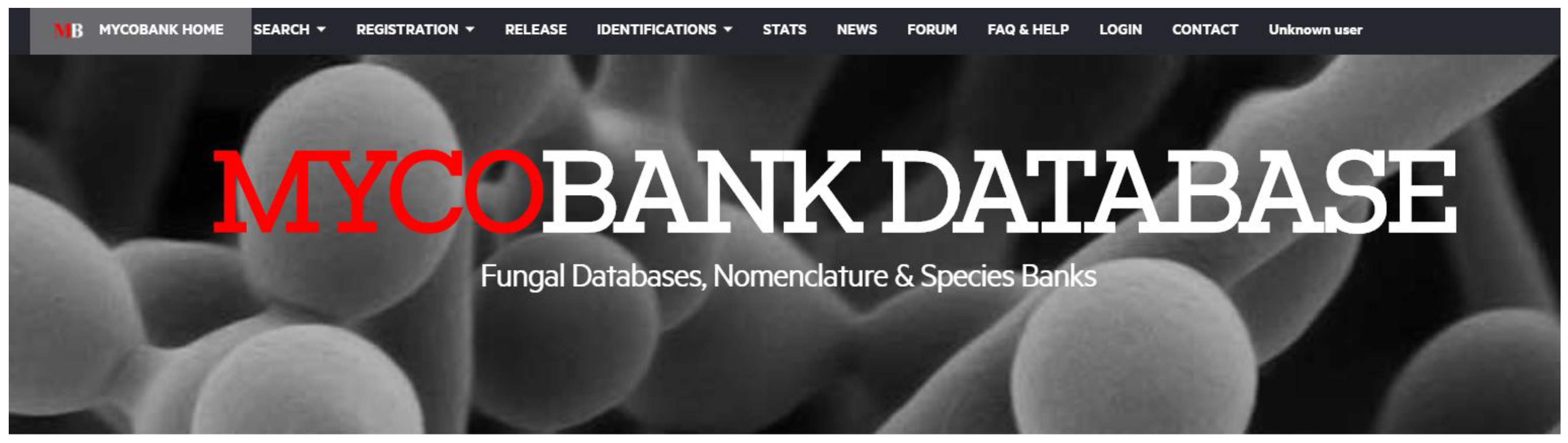 Toxins 12 00064 g005