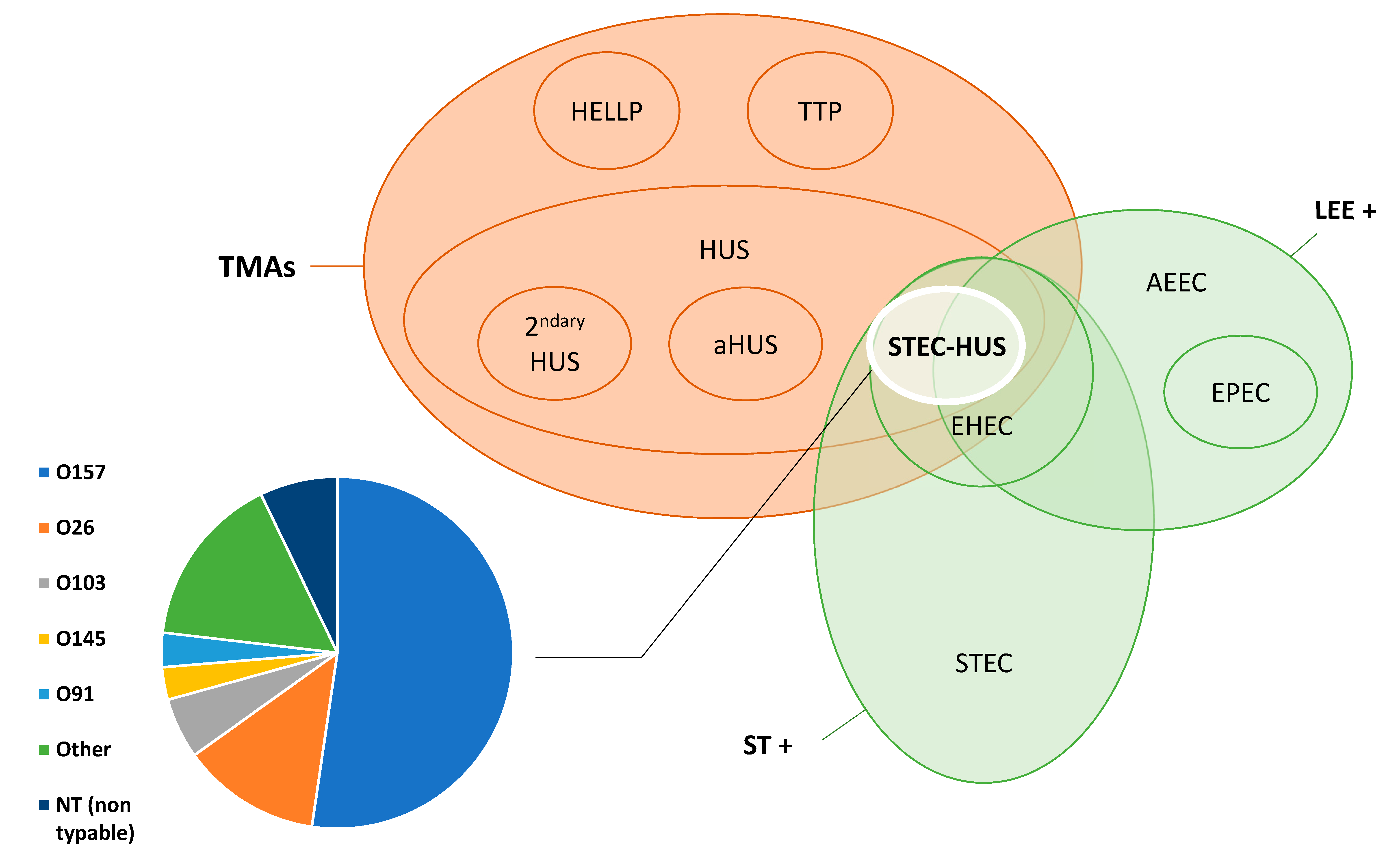 Toxins Free Full Text Shiga Toxin Associated Hemolytic Uremic Syndrome A Narrative Review Html