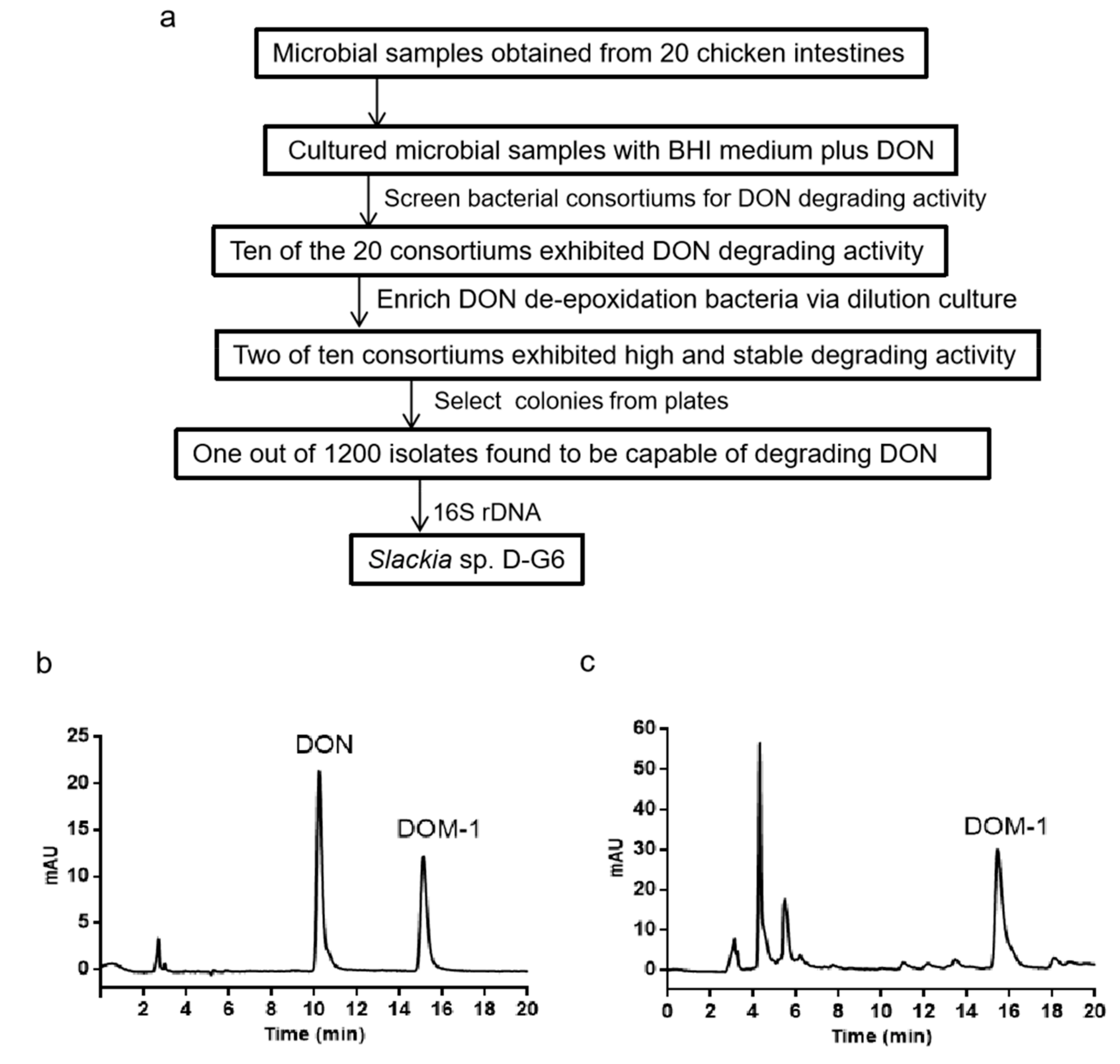 Toxins 12 00085 g001 Toxins 12 00085 g001