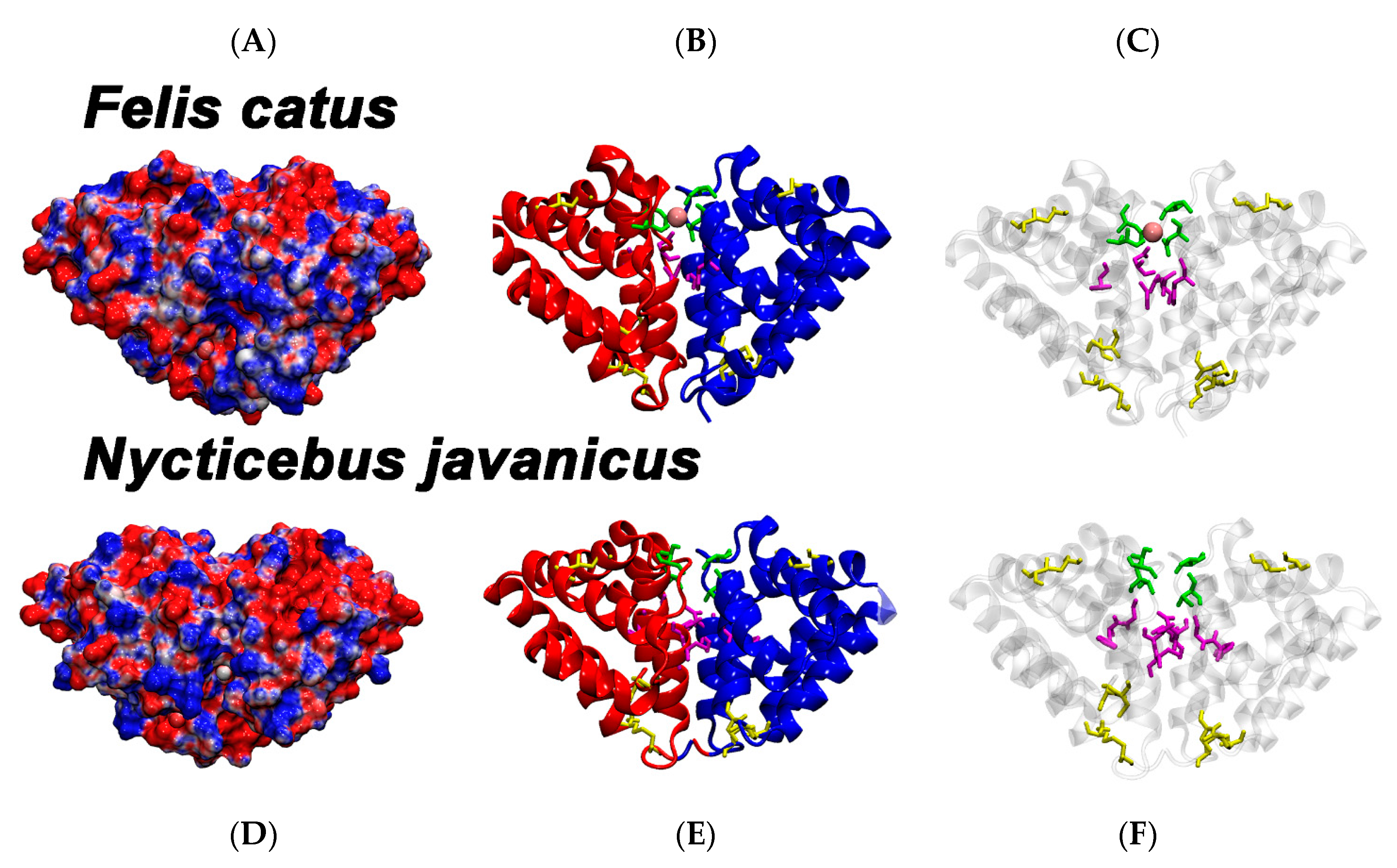 Toxins 12 00086 g002