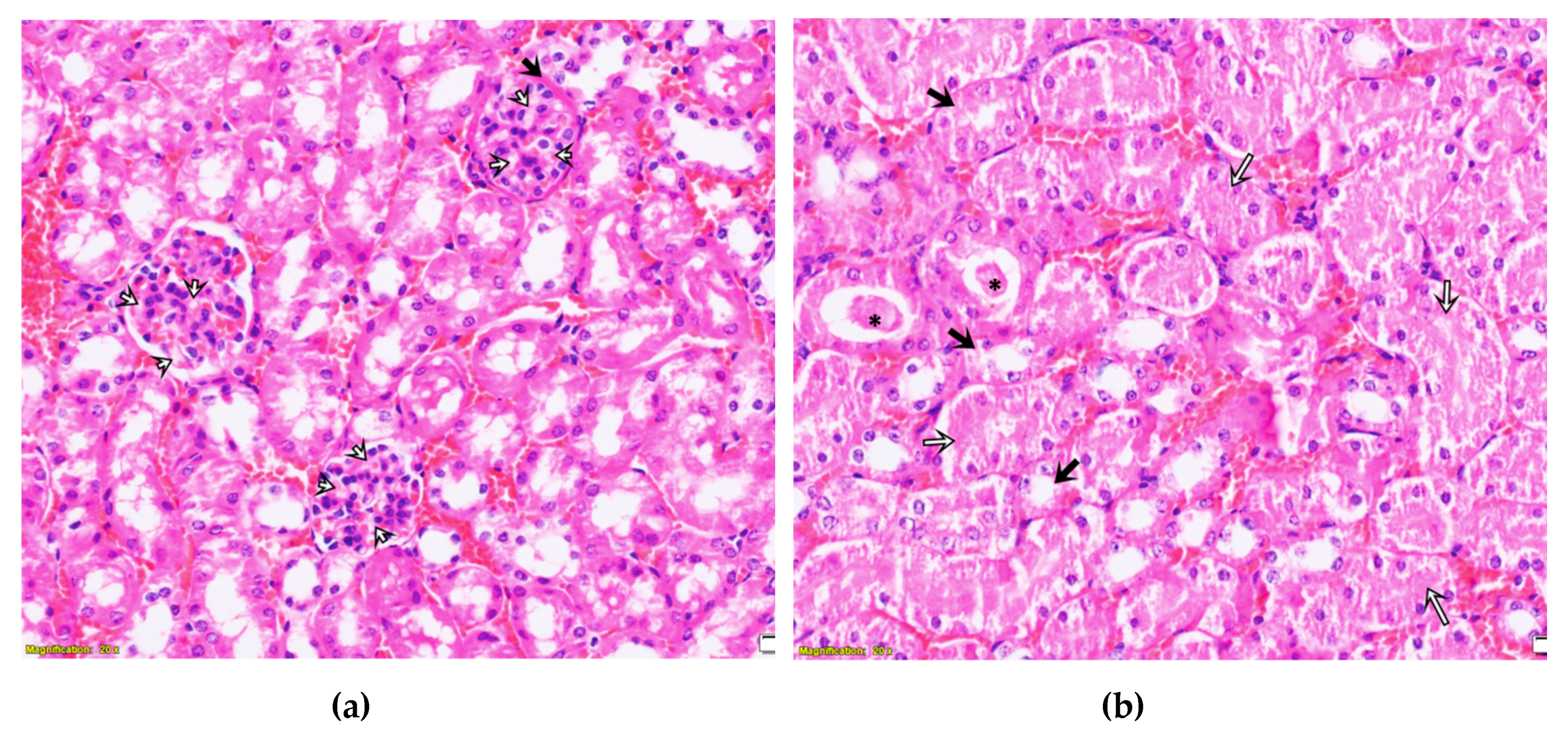 Toxins 12 00088 g0a3 Toxins 12 00088 g0a3