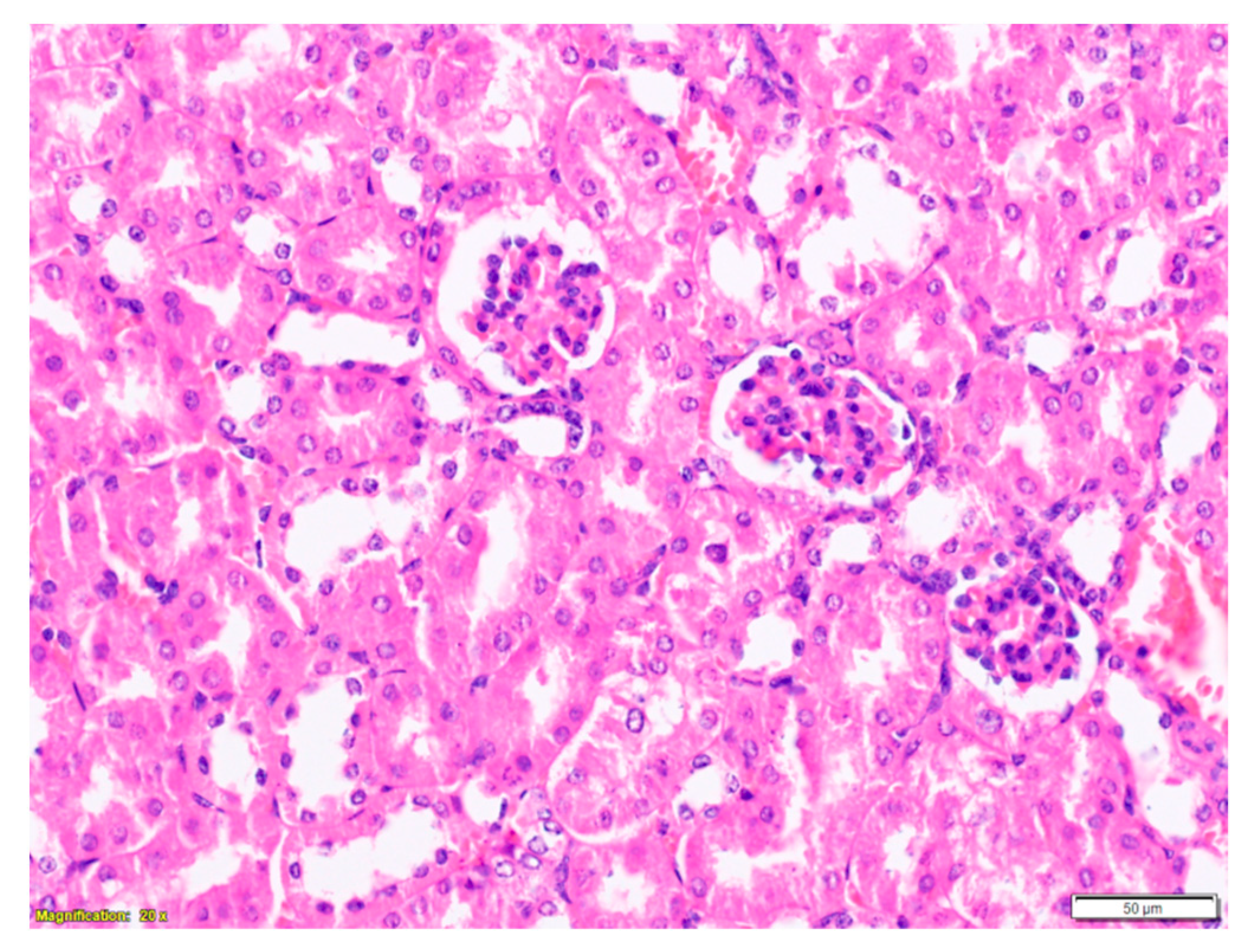 Toxins 12 00088 g0a4 Toxins 12 00088 g0a4