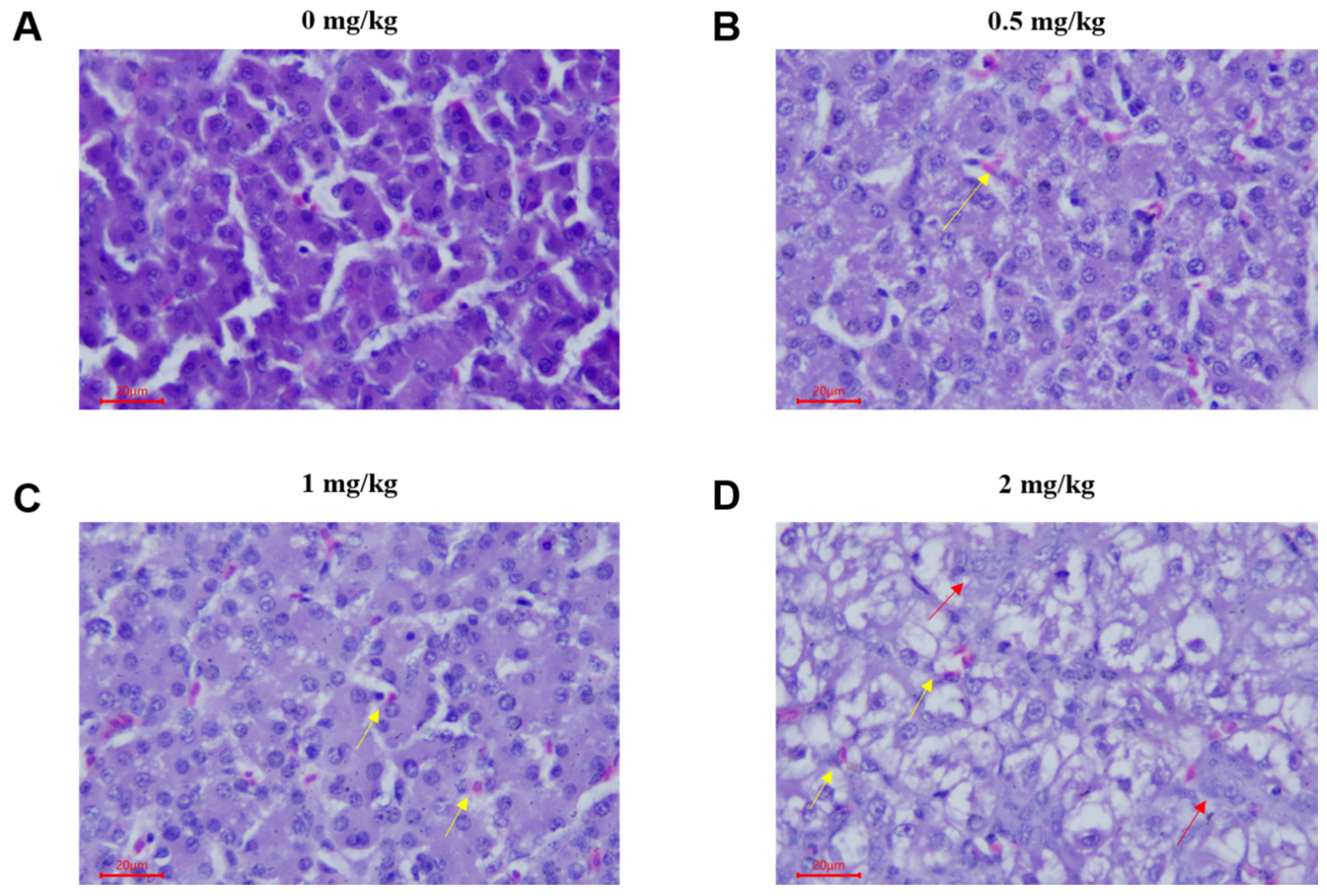 Toxins 12 00090 g001 Toxins 12 00090 g001