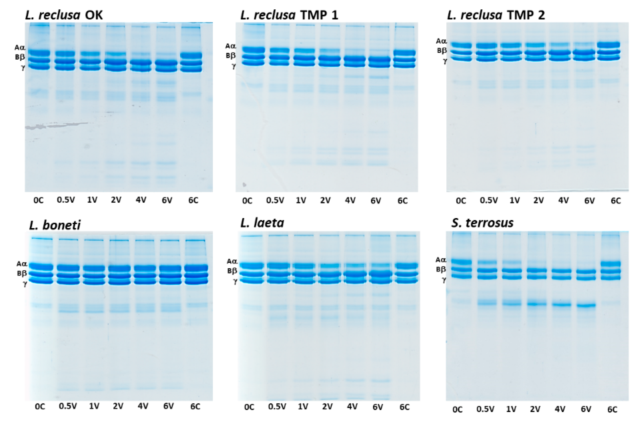 Toxins 12 00091 g001 Toxins 12 00091 g001
