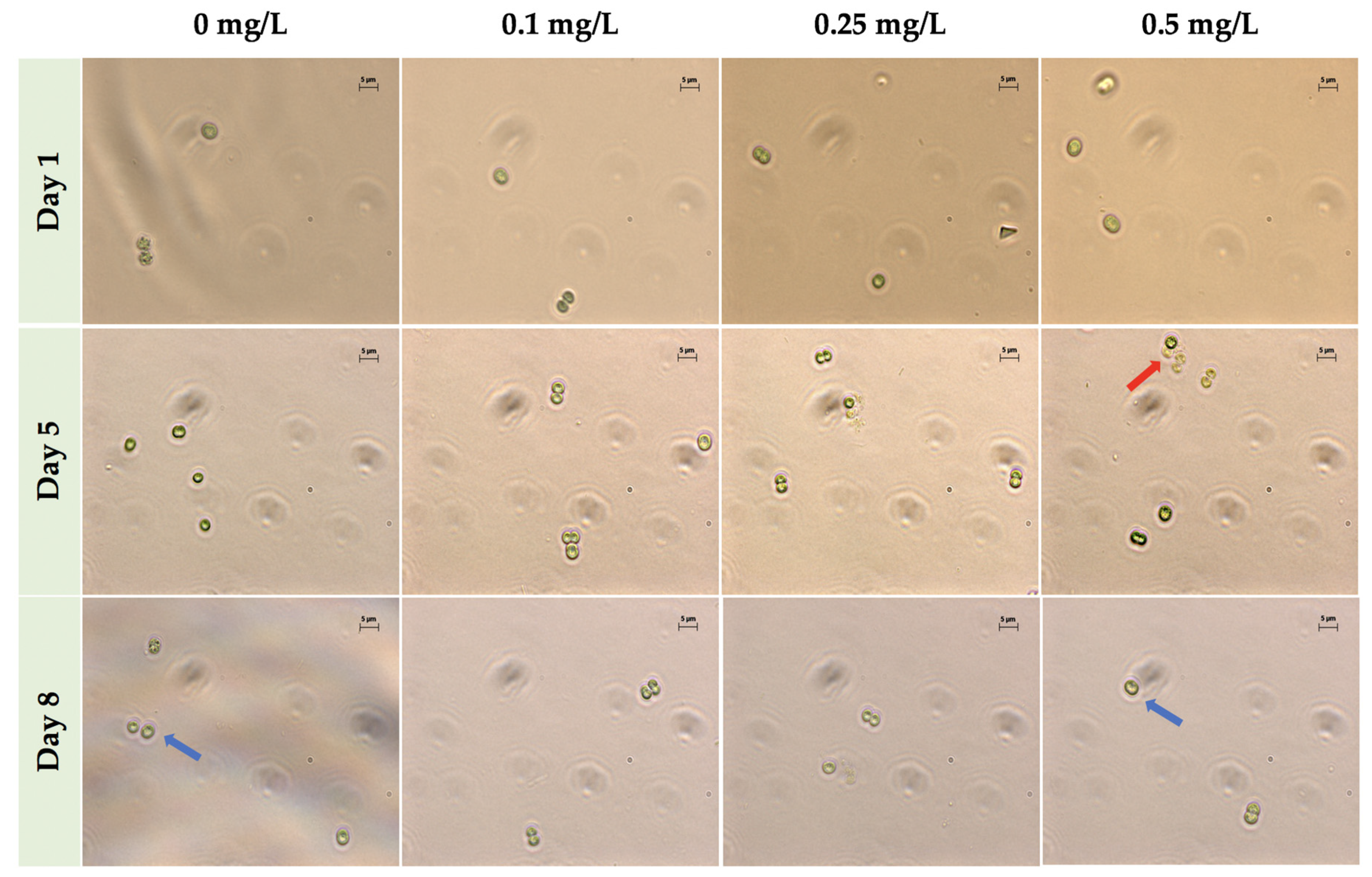 Toxins 12 00092 g002 Toxins 12 00092 g002