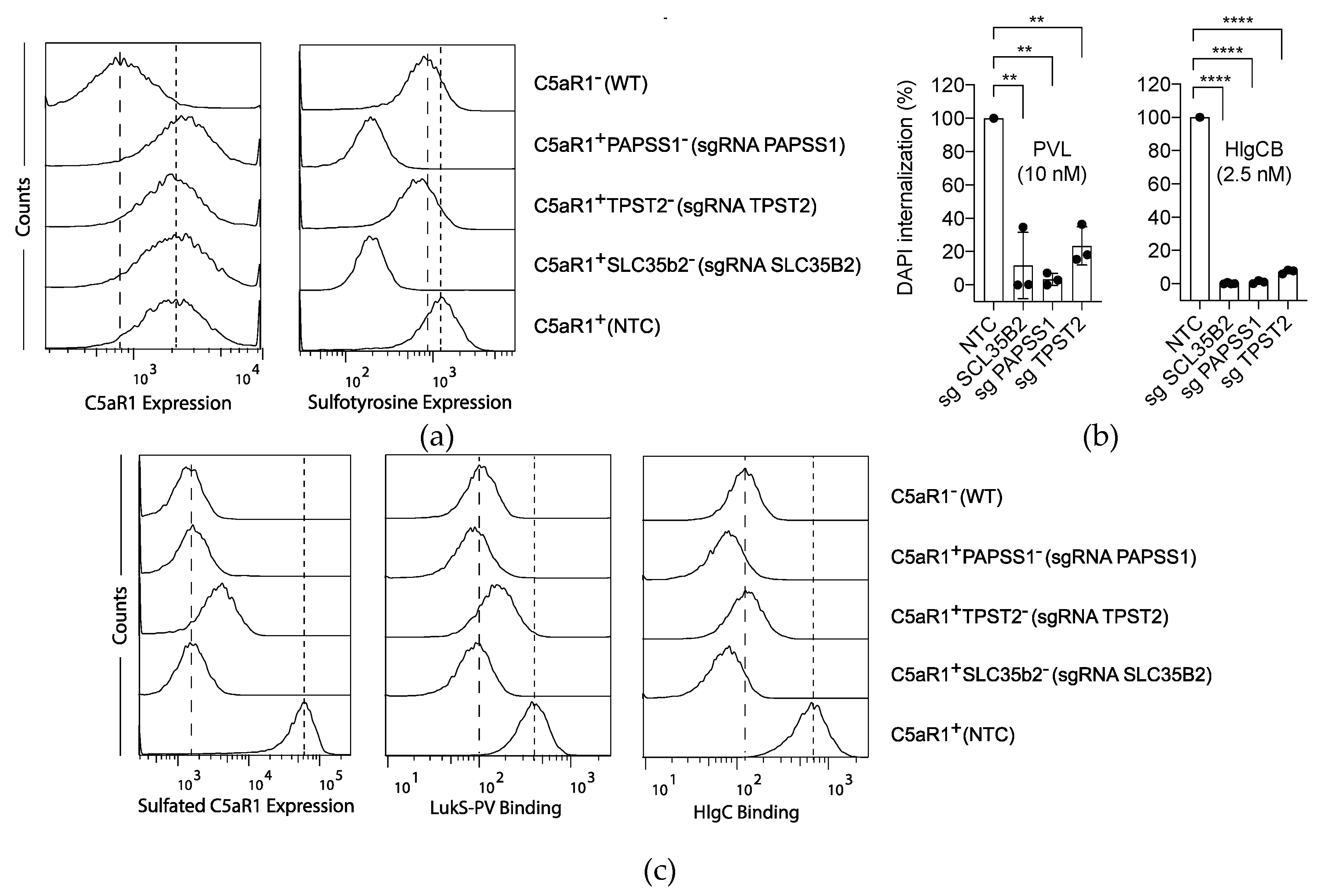 Toxins 12 00106 g002