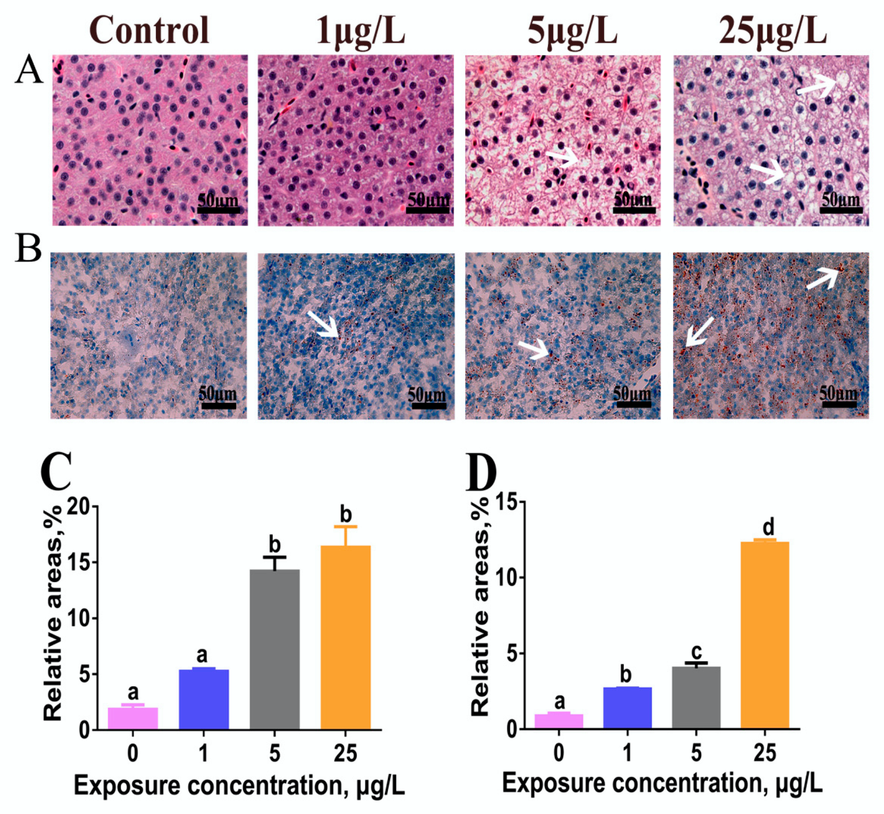 Toxins 12 00107 g001 Toxins 12 00107 g001