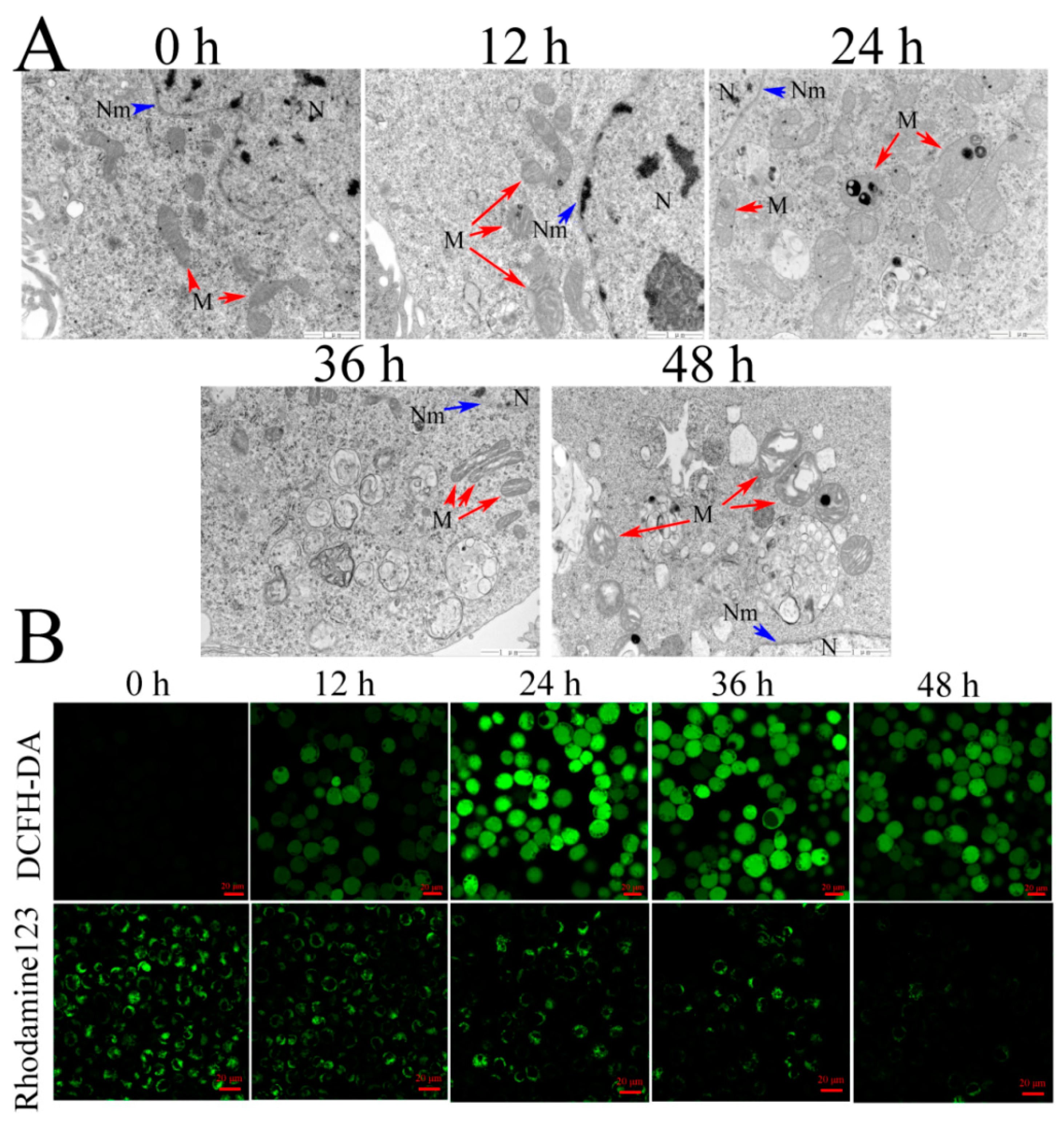 Toxins 12 00116 g003