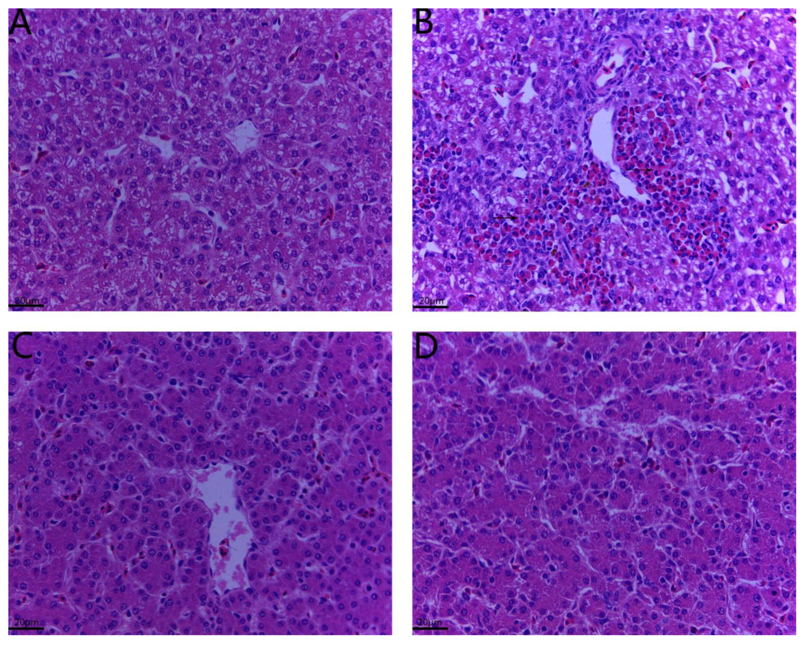 Toxins 12 00143 g002 Toxins 12 00143 g002