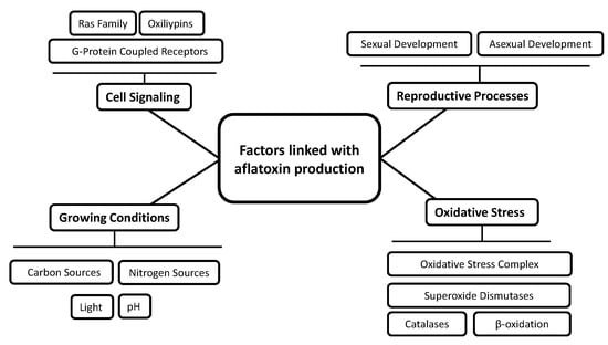Toxins Free Full Text Aflatoxin Biosynthesis And Genetic Regulation A Review Html