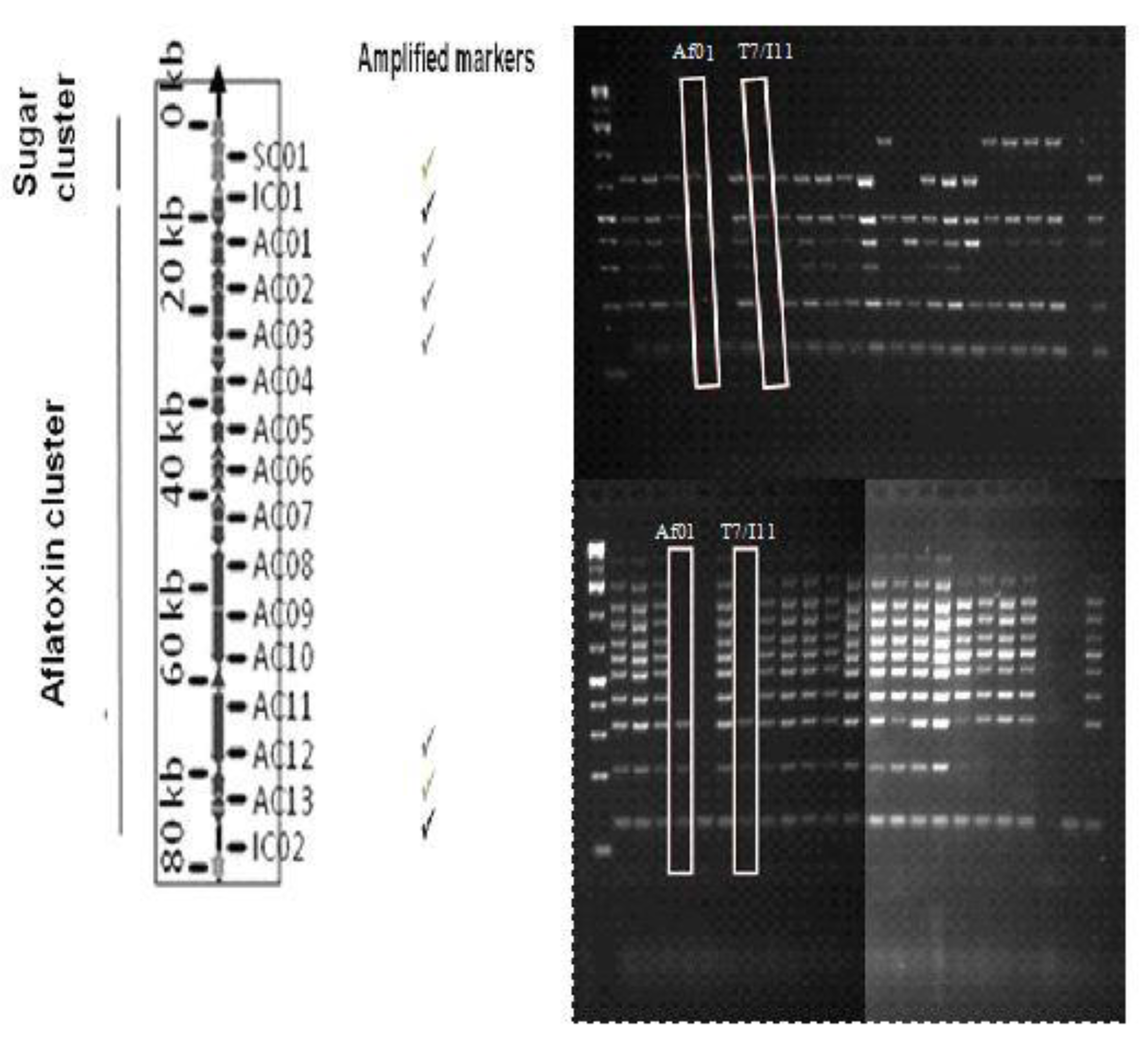 Toxins 12 00162 g001
