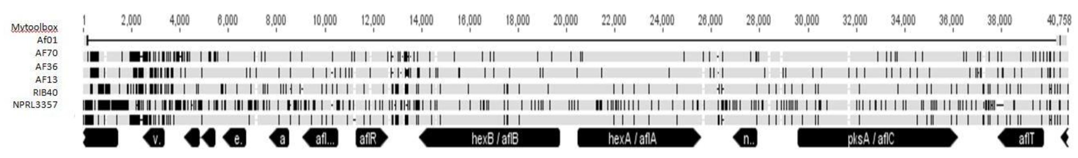 Toxins 12 00162 g002