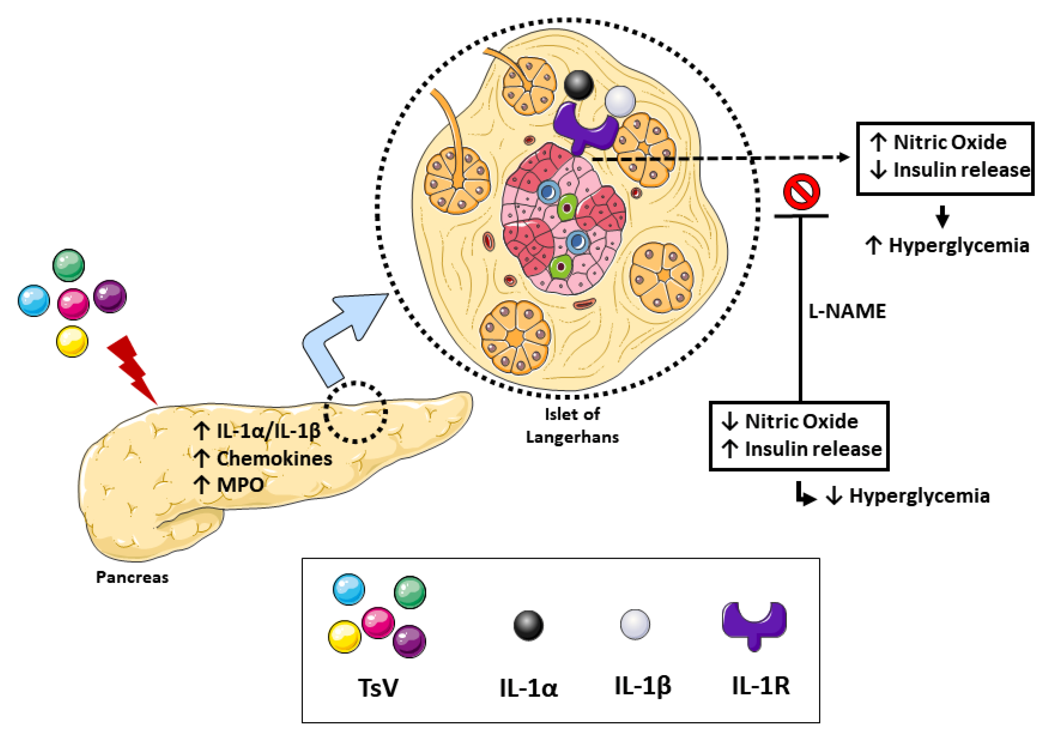 Toxins 12 00163 g004