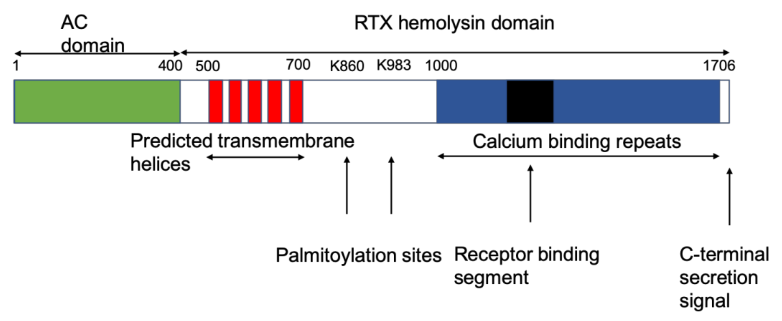 Toxins 12 00169 g001