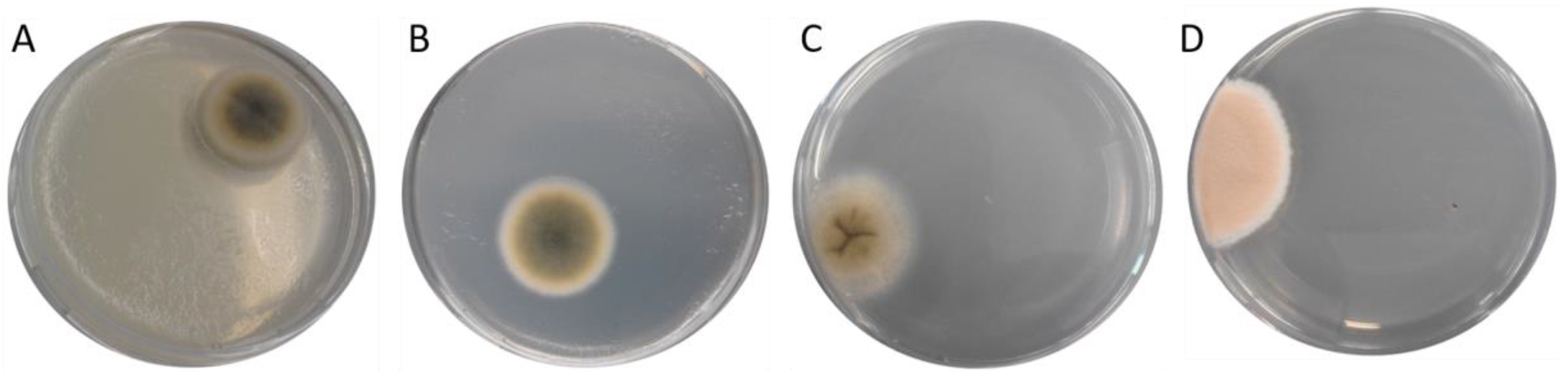 Toxins 12 00171 g002
