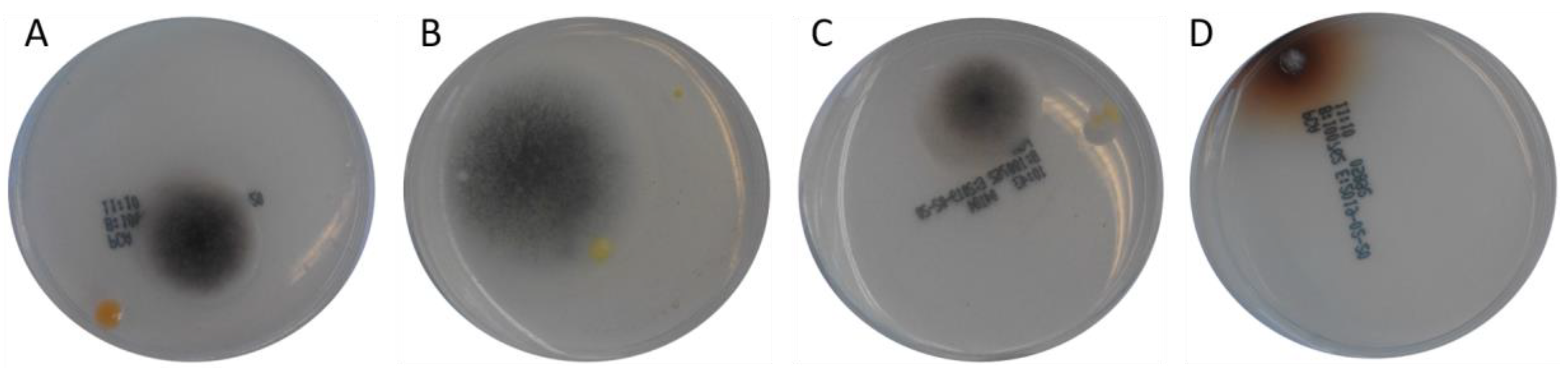 Toxins 12 00171 g003