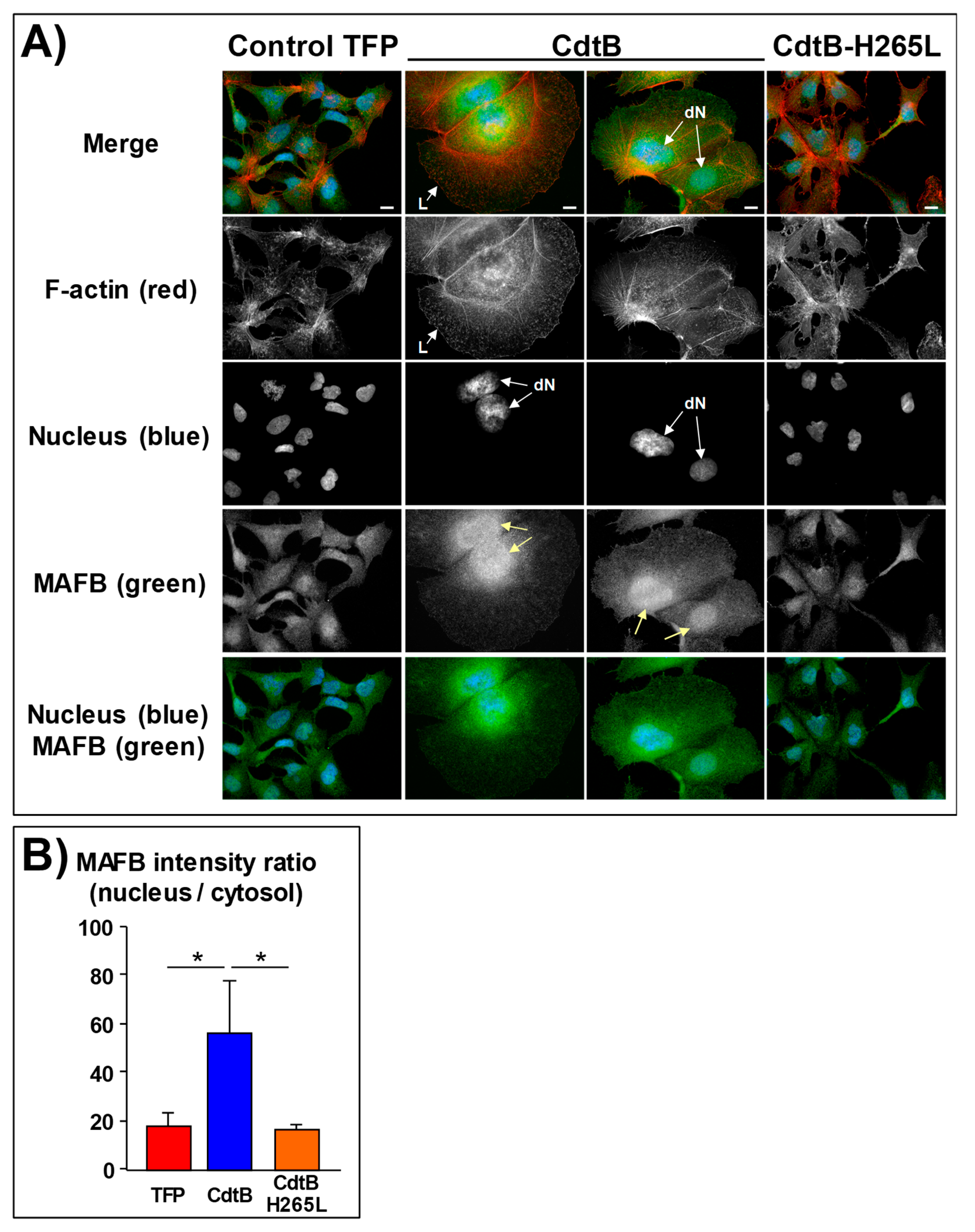 Toxins 12 00174 g005 Toxins 12 00174 g005