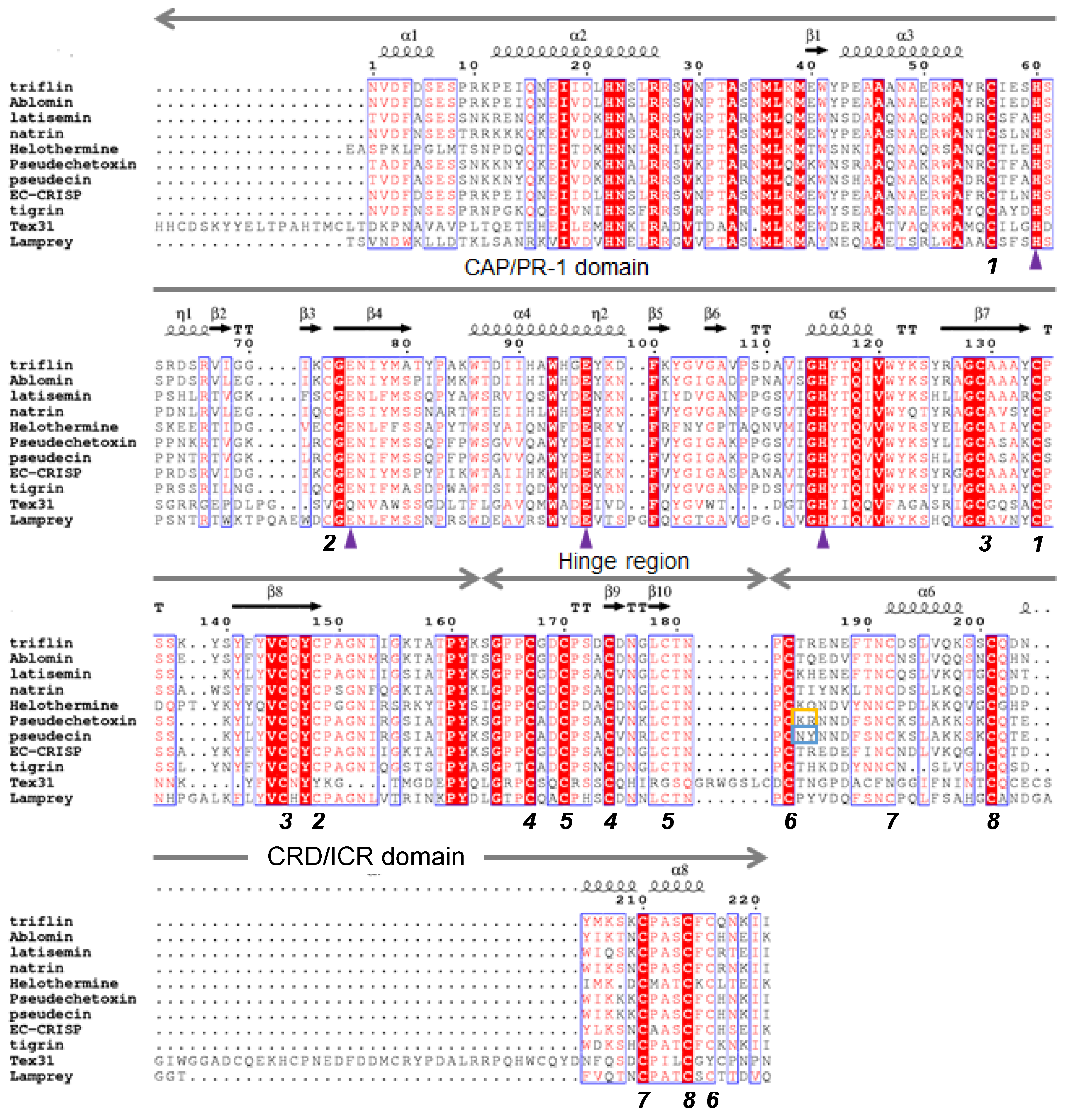 Toxins Free Full Text Cysteine Rich Secretory Proteins Crisps From Venomous Snakes An Overview Of The Functional Diversity In A Large And Underappreciated Superfamily Html