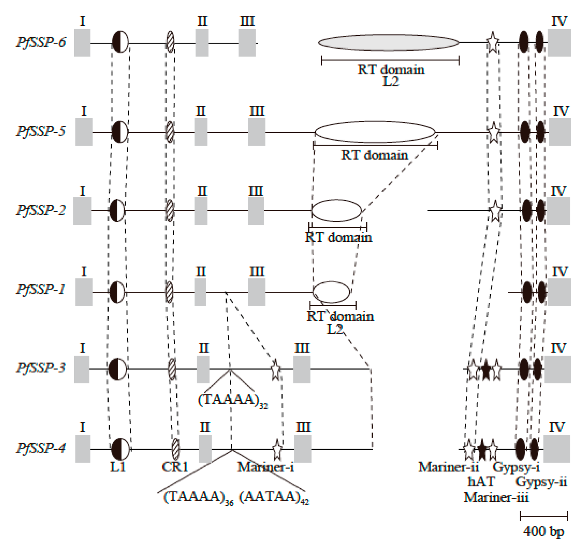 Toxins 12 00177 g003 Toxins 12 00177 g003