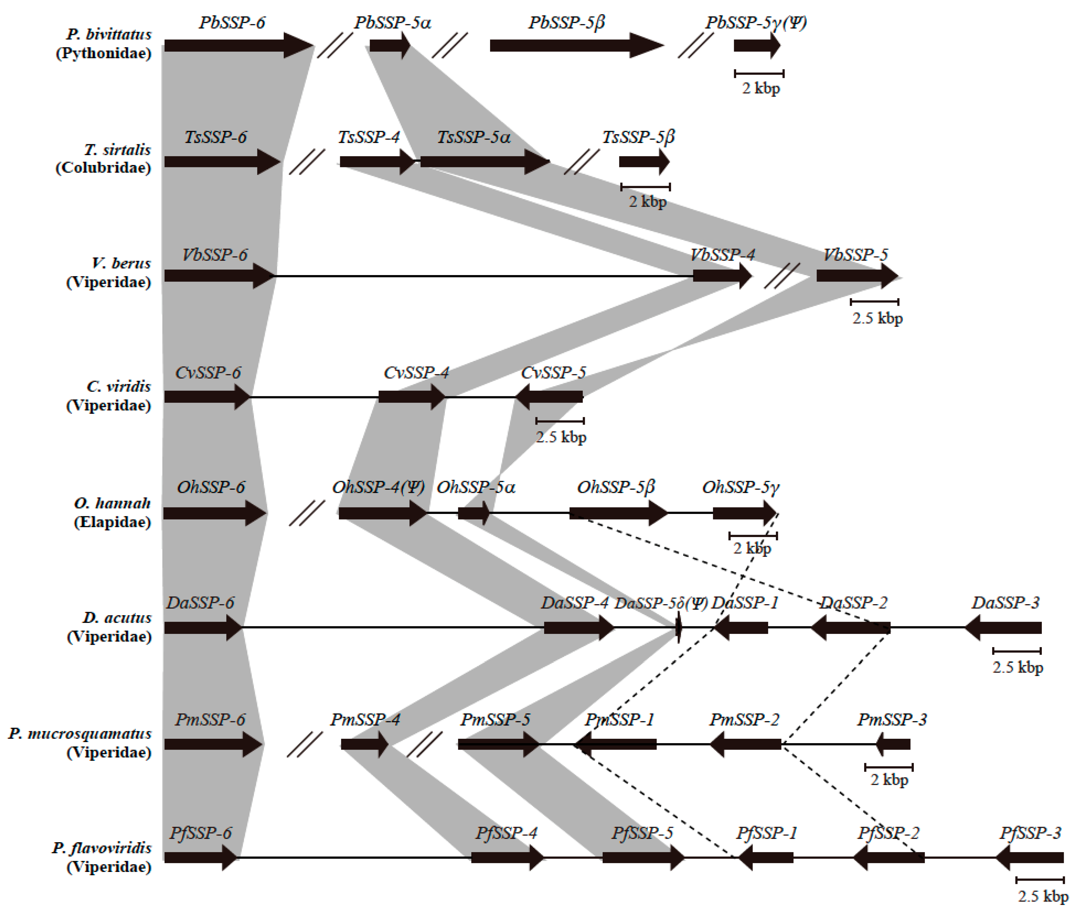 Toxins 12 00177 g004 Toxins 12 00177 g004