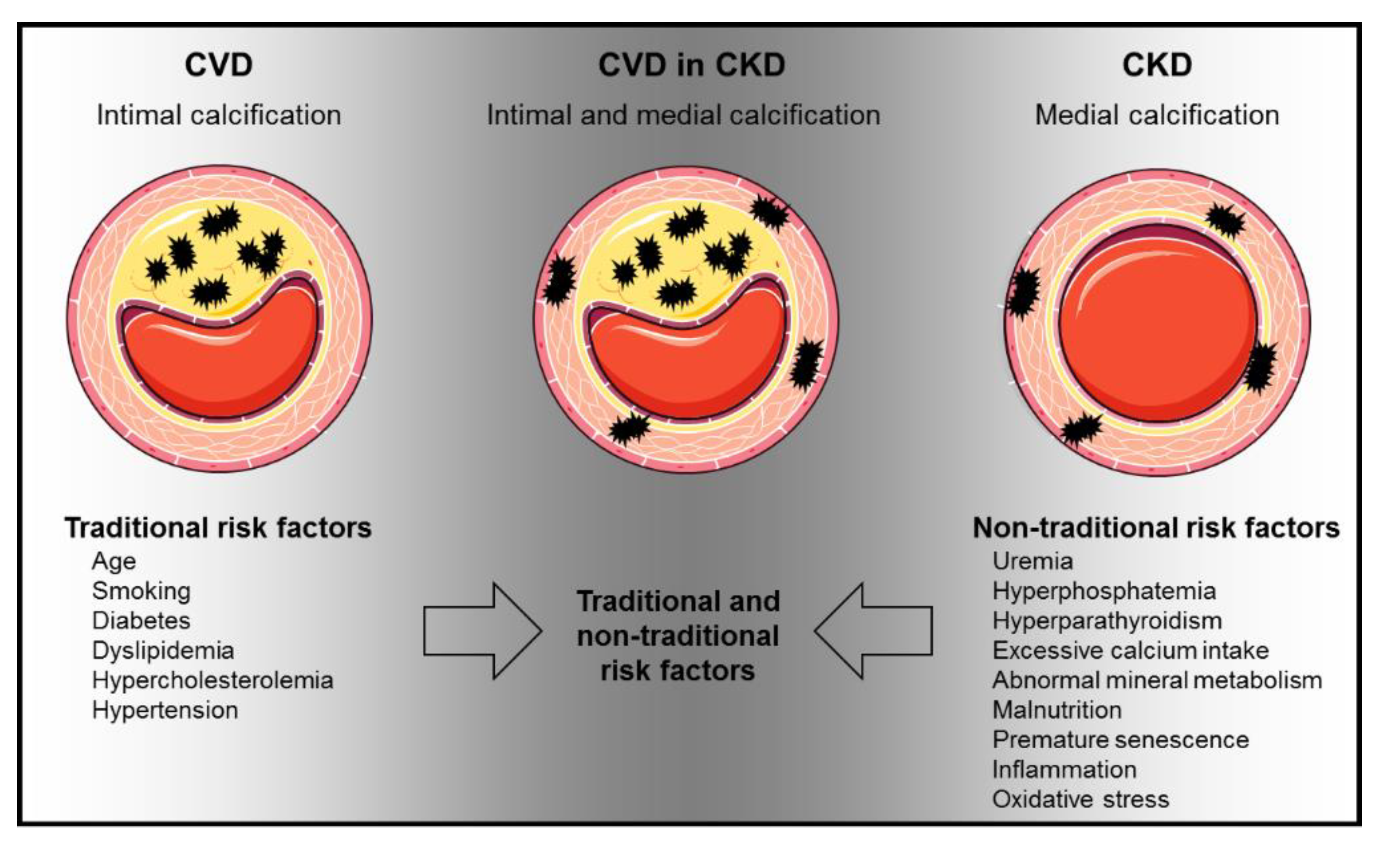 Toxins 12 00181 g002 Toxins 12 00181 g002