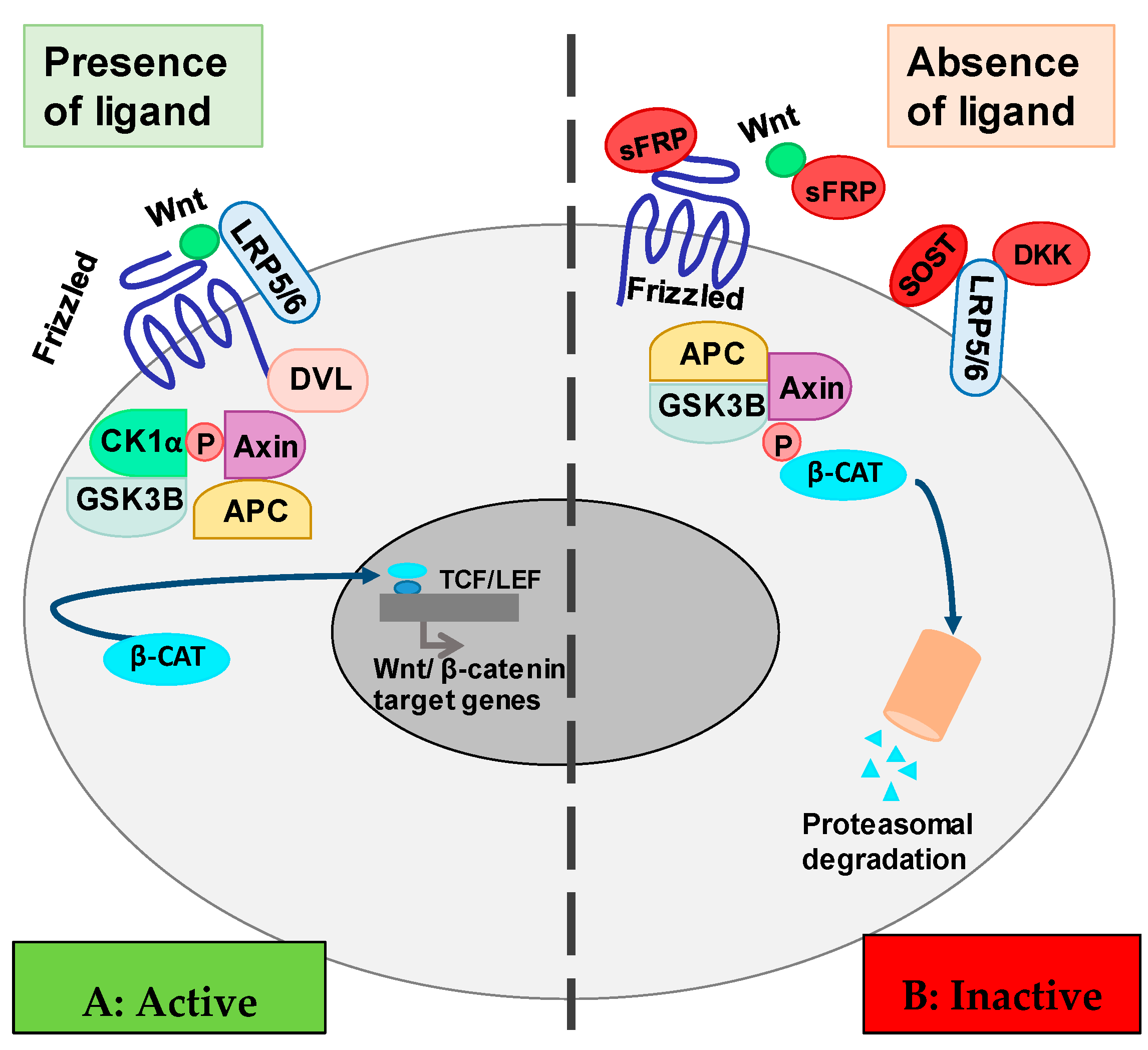 Toxins 12 00185 g001 Toxins 12 00185 g001