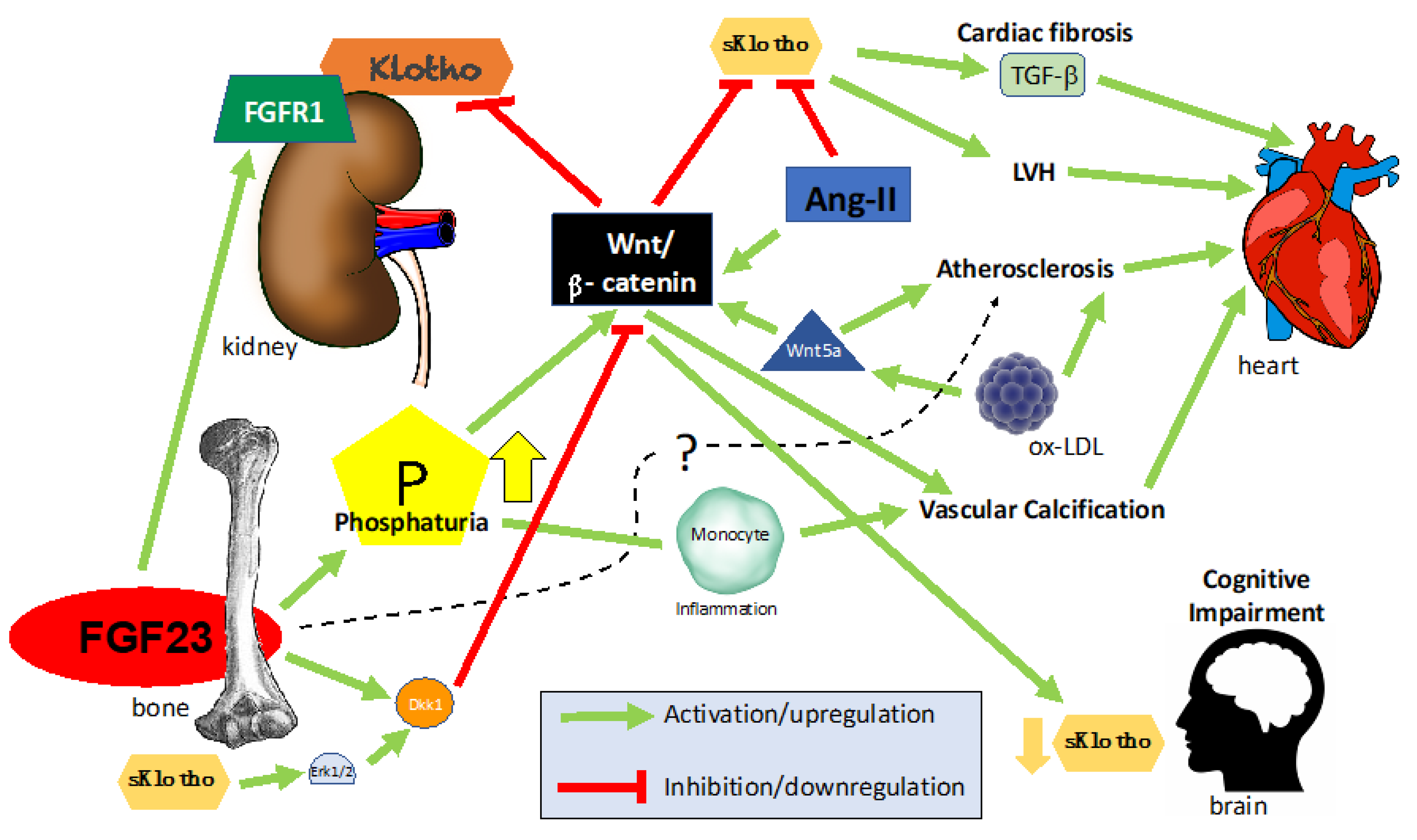 Toxins 12 00185 g002 Toxins 12 00185 g002