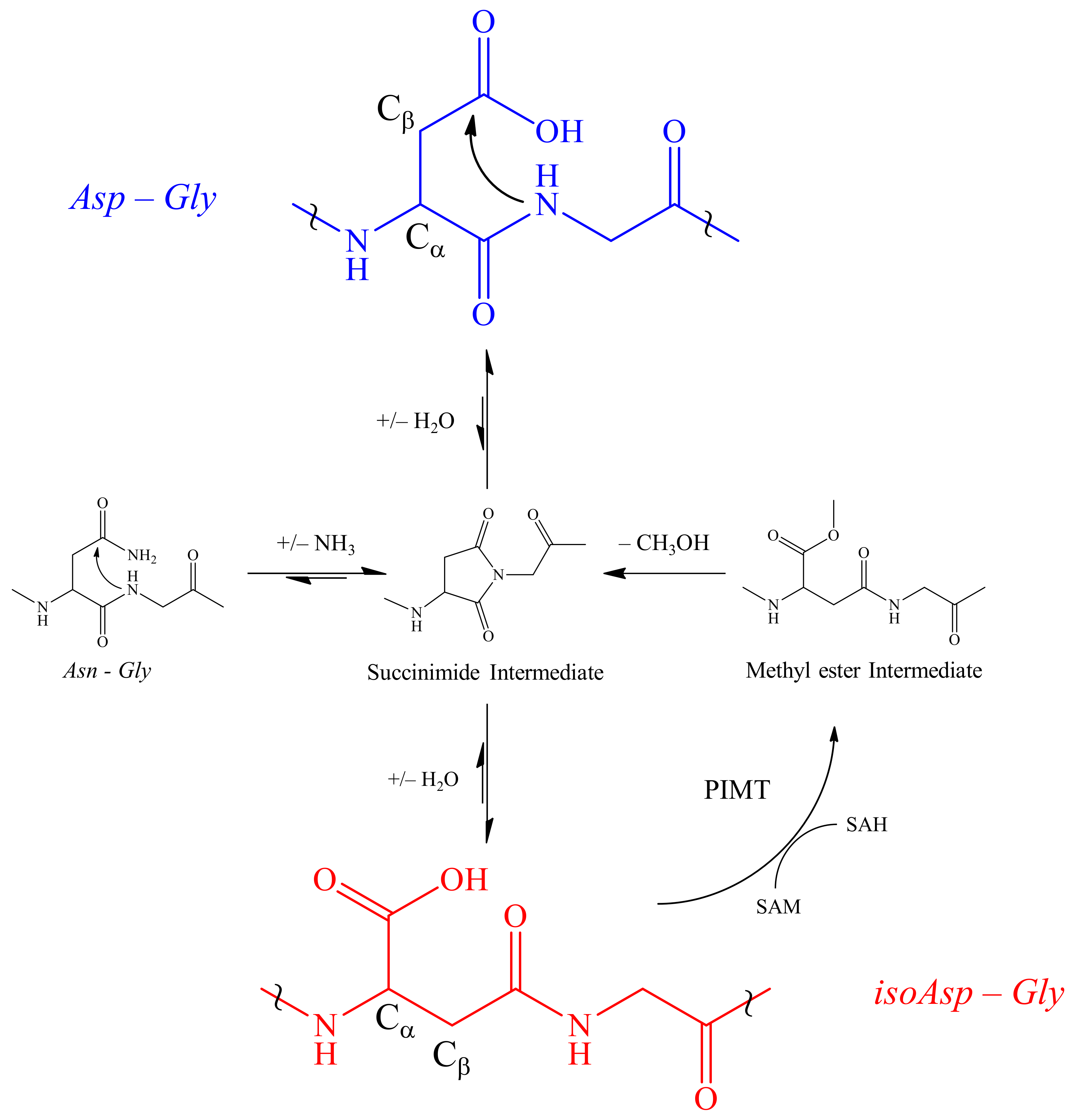 Toxins 12 00207 g001 Toxins 12 00207 g001