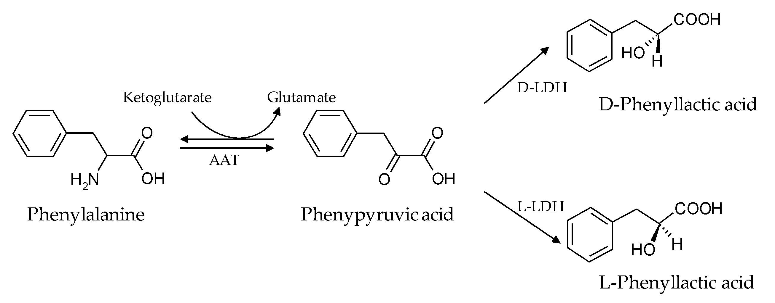 Toxins 12 00209 g009