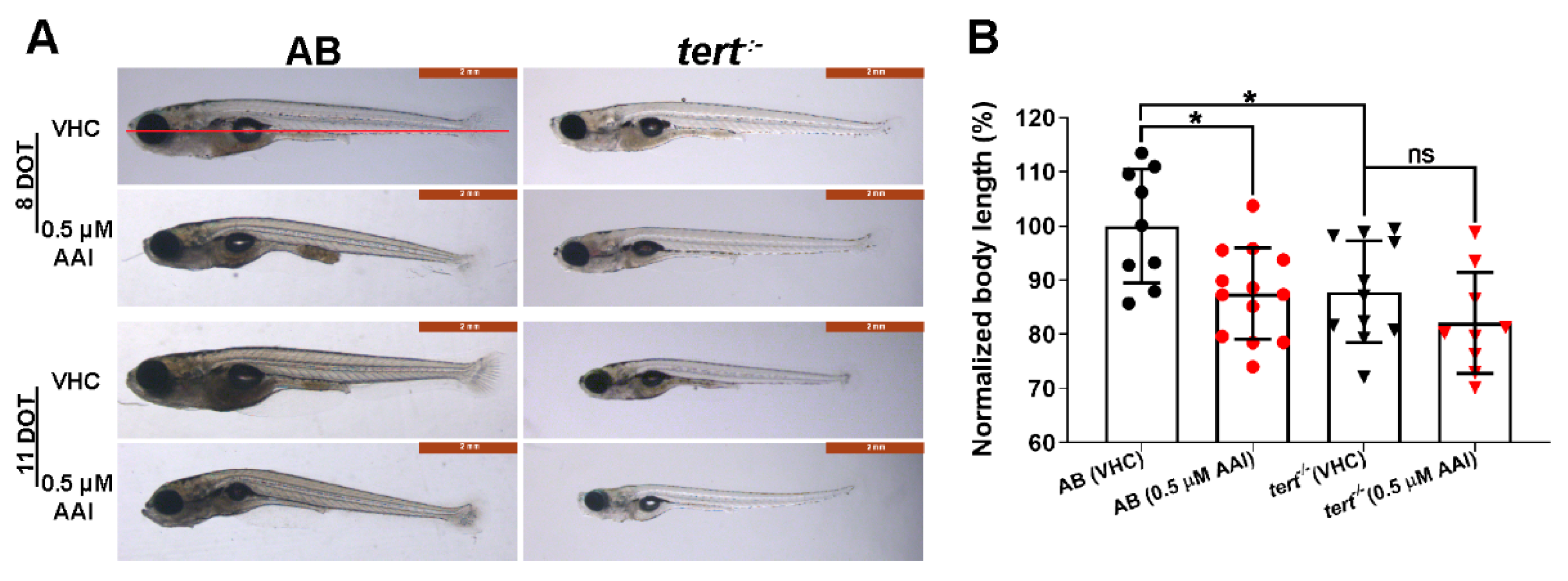 Toxins 12 00217 g002 Toxins 12 00217 g002