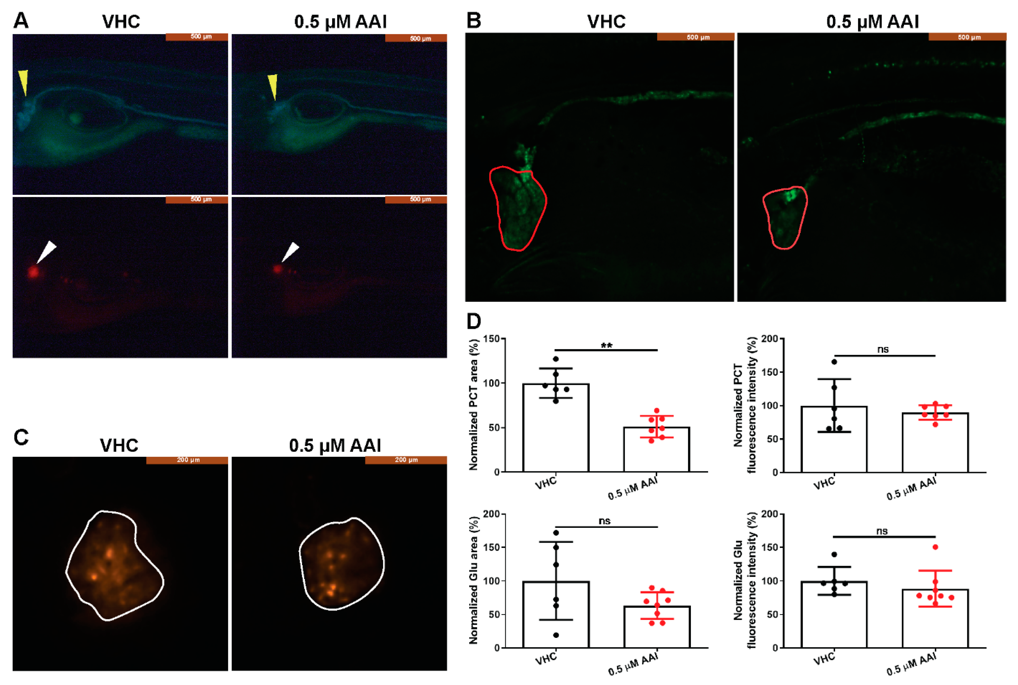 Toxins 12 00217 g004 Toxins 12 00217 g004