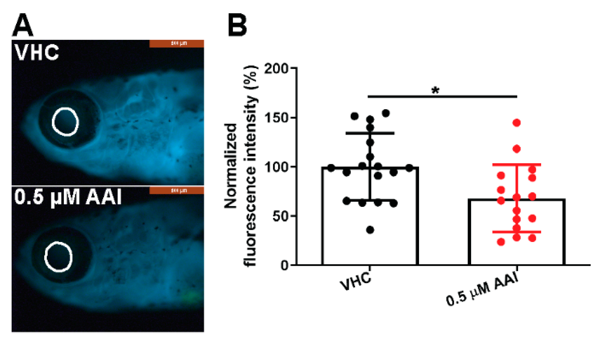 Toxins 12 00217 g009 Toxins 12 00217 g009