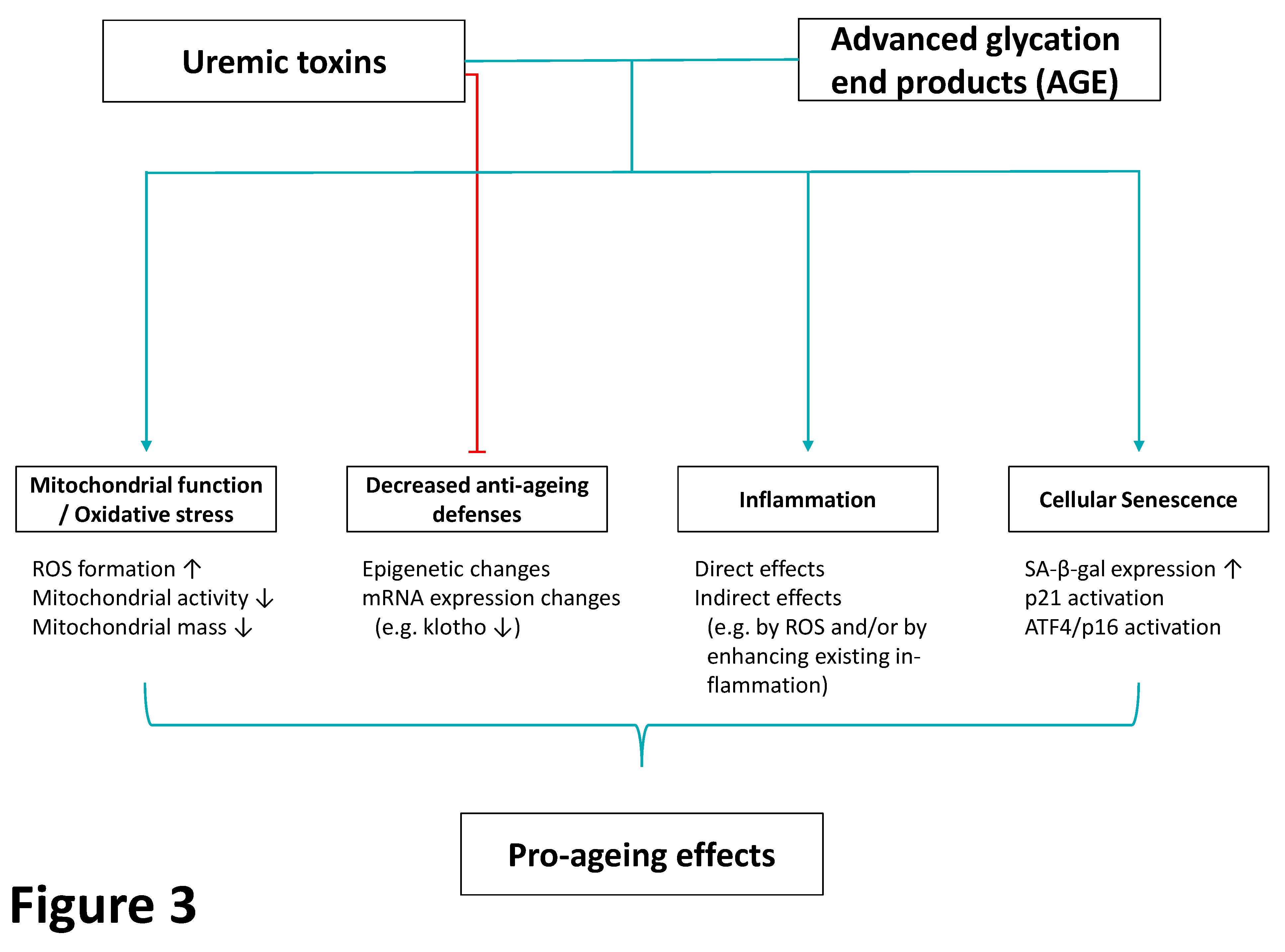 Toxins 12 00227 g003