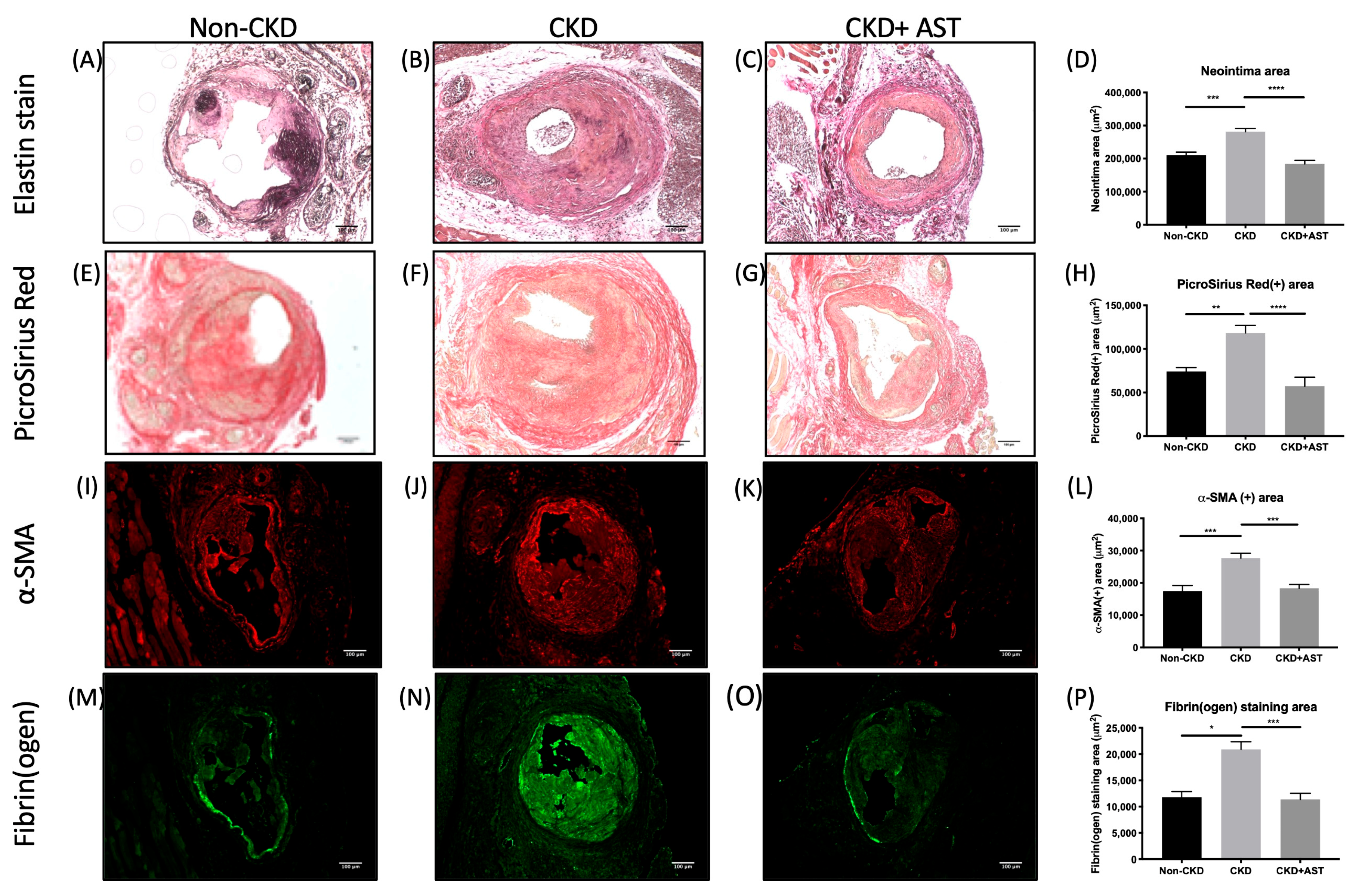 Toxins 12 00237 g003 Toxins 12 00237 g003