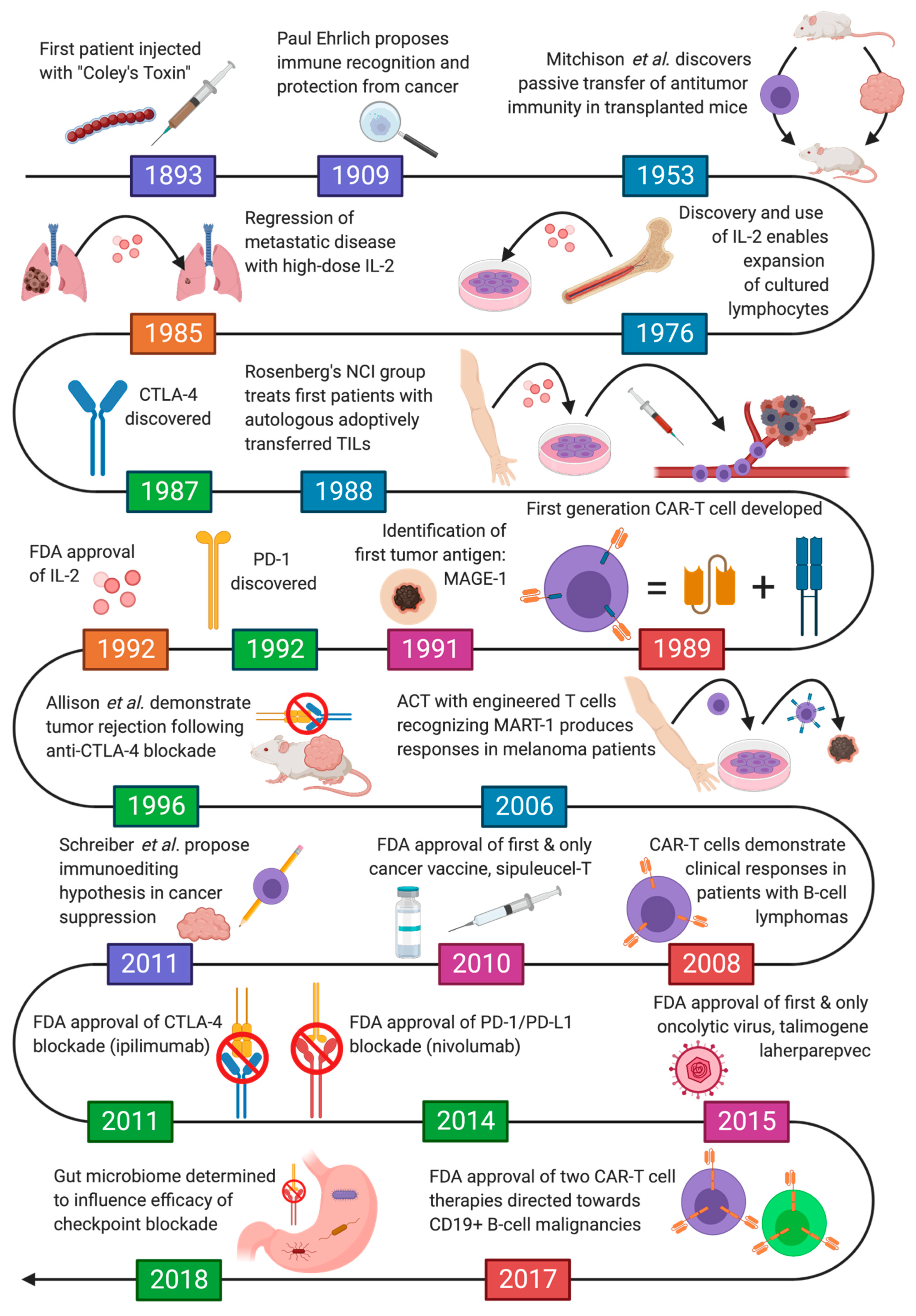 can you tell if you have bowel cancer from a blood test