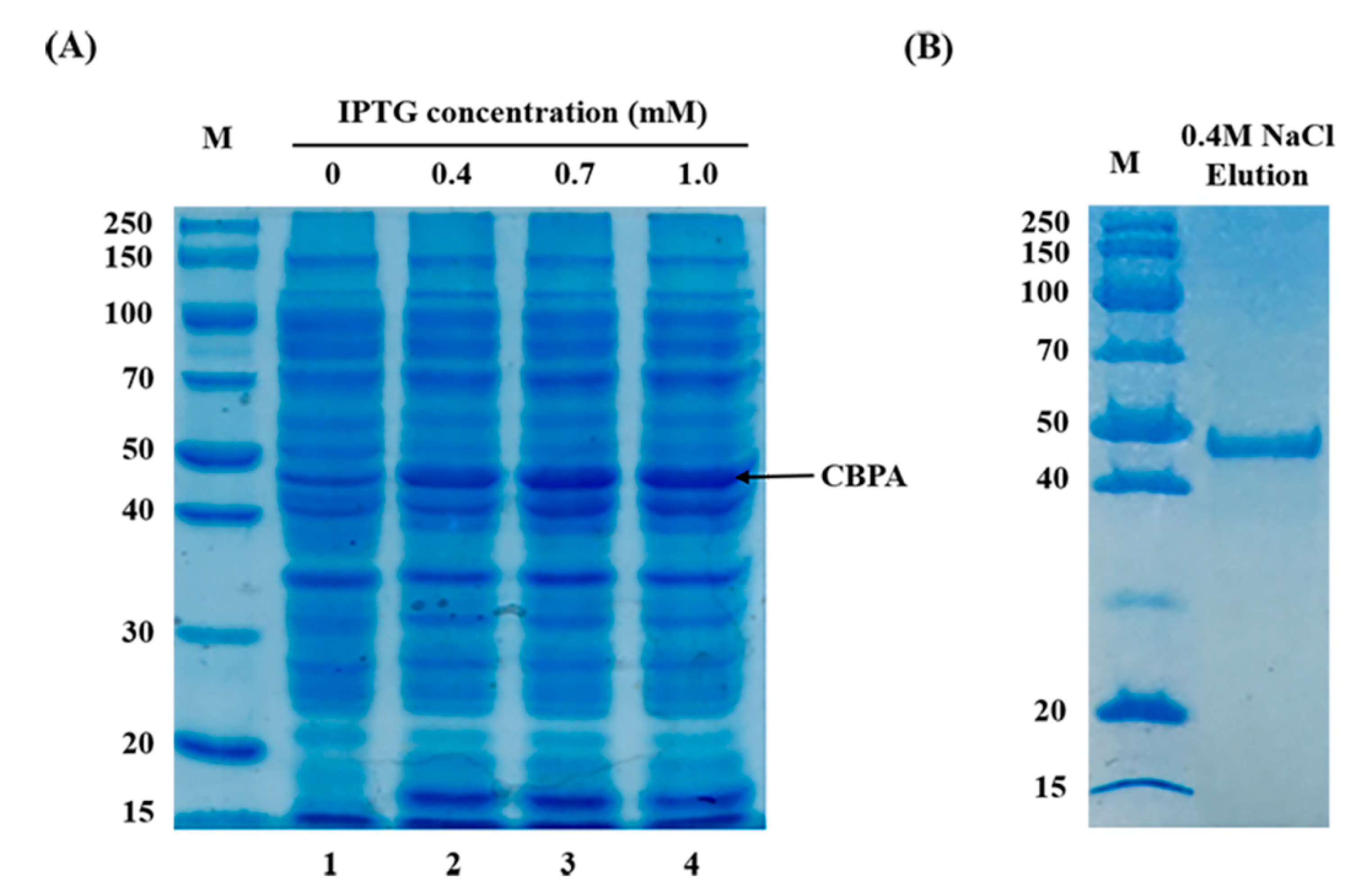 Toxins 12 00252 g005 Toxins 12 00252 g005