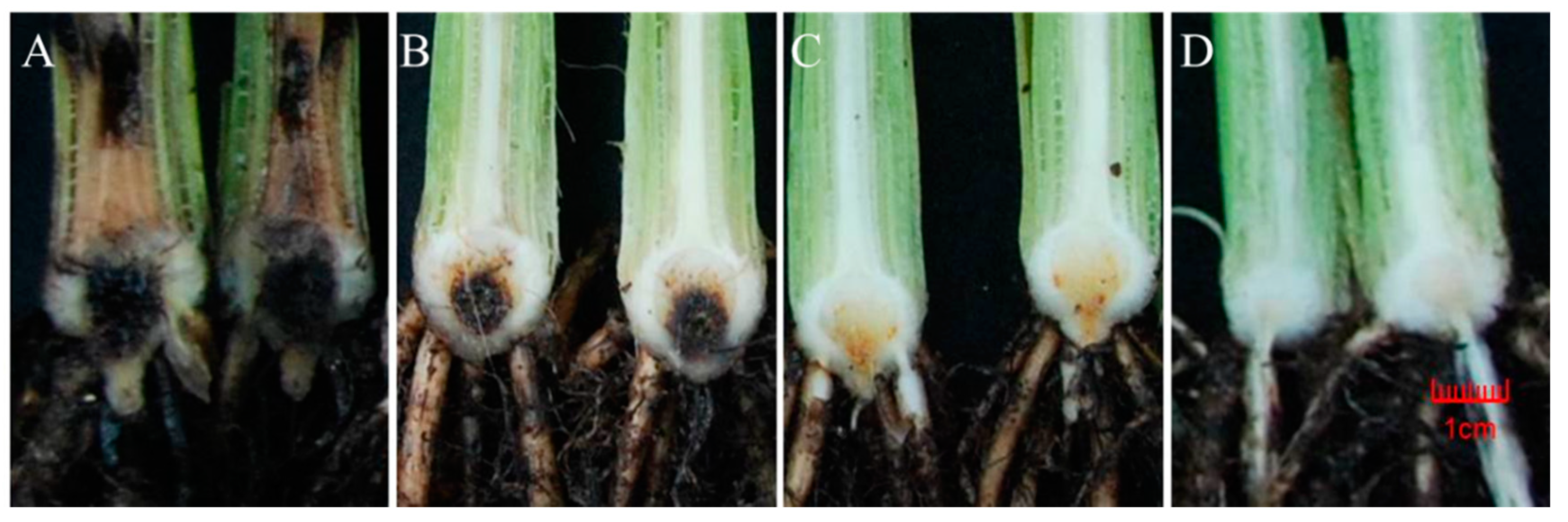 Toxins 12 00254 g001 Toxins 12 00254 g001