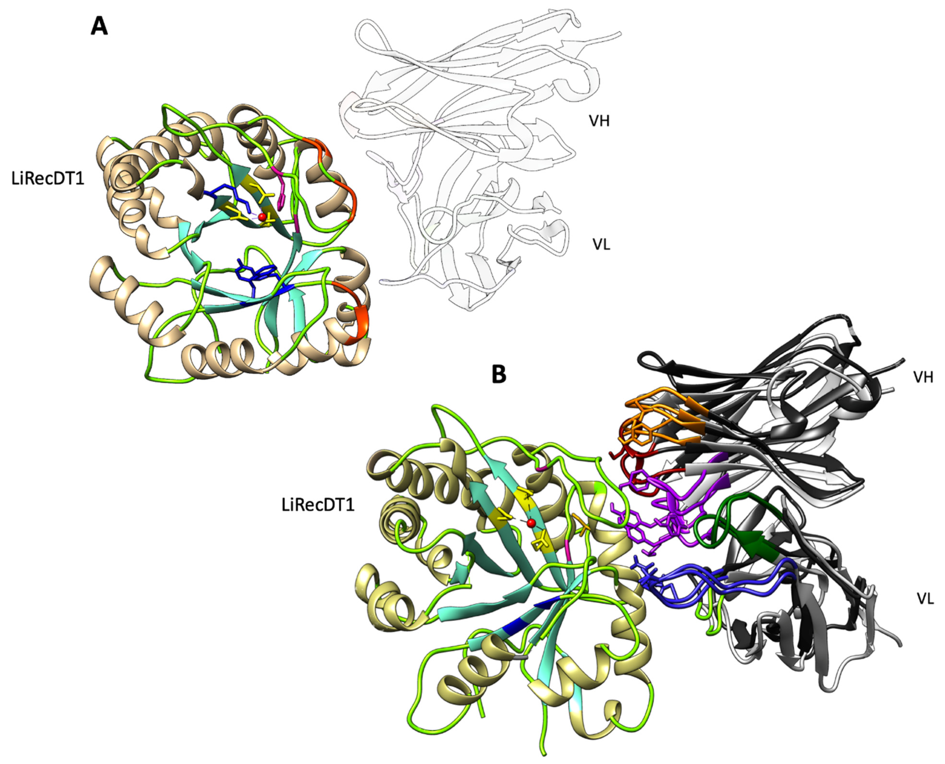 Toxins 12 00256 g005 Toxins 12 00256 g005