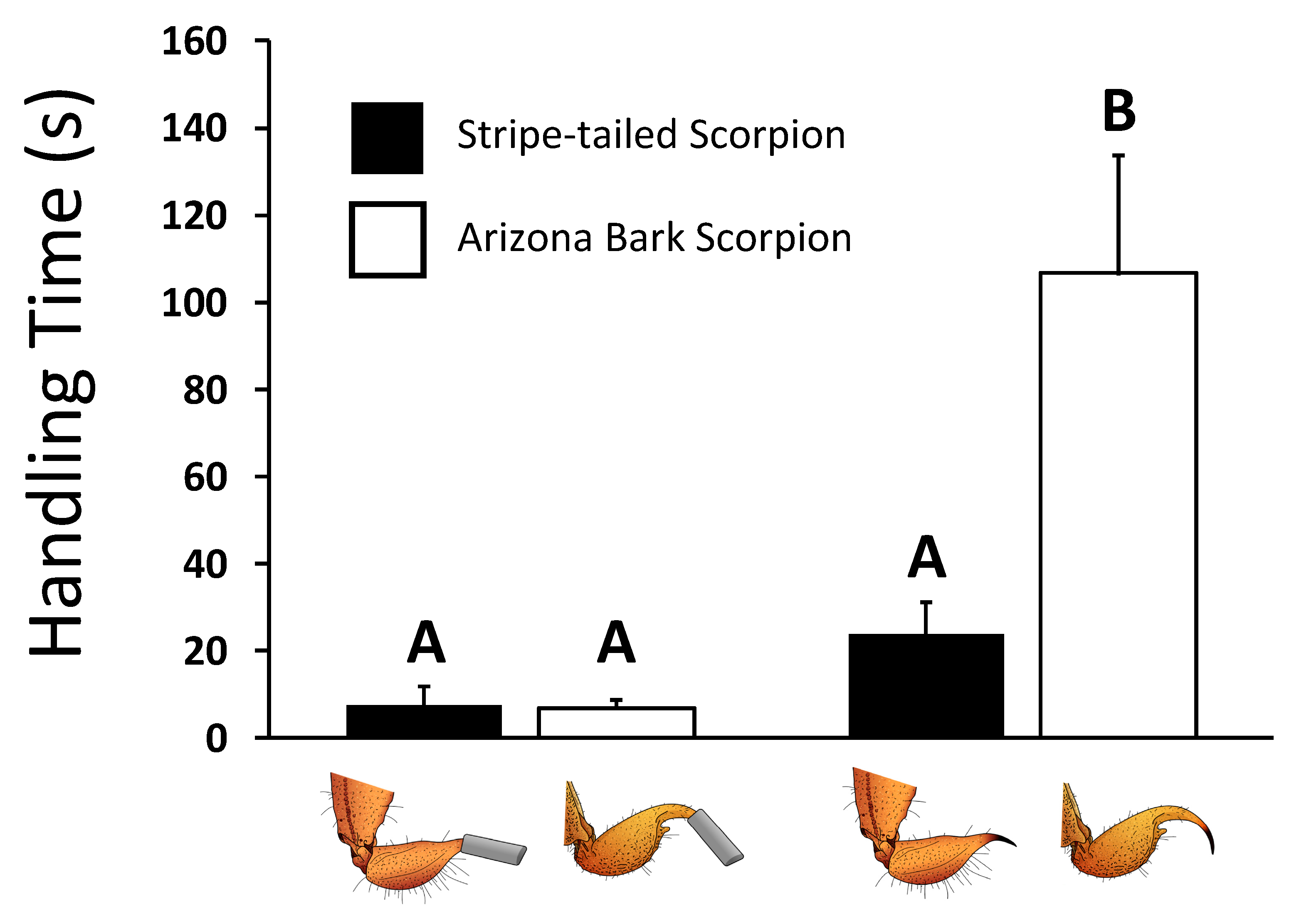 Toxins 12 00260 g002 Toxins 12 00260 g002