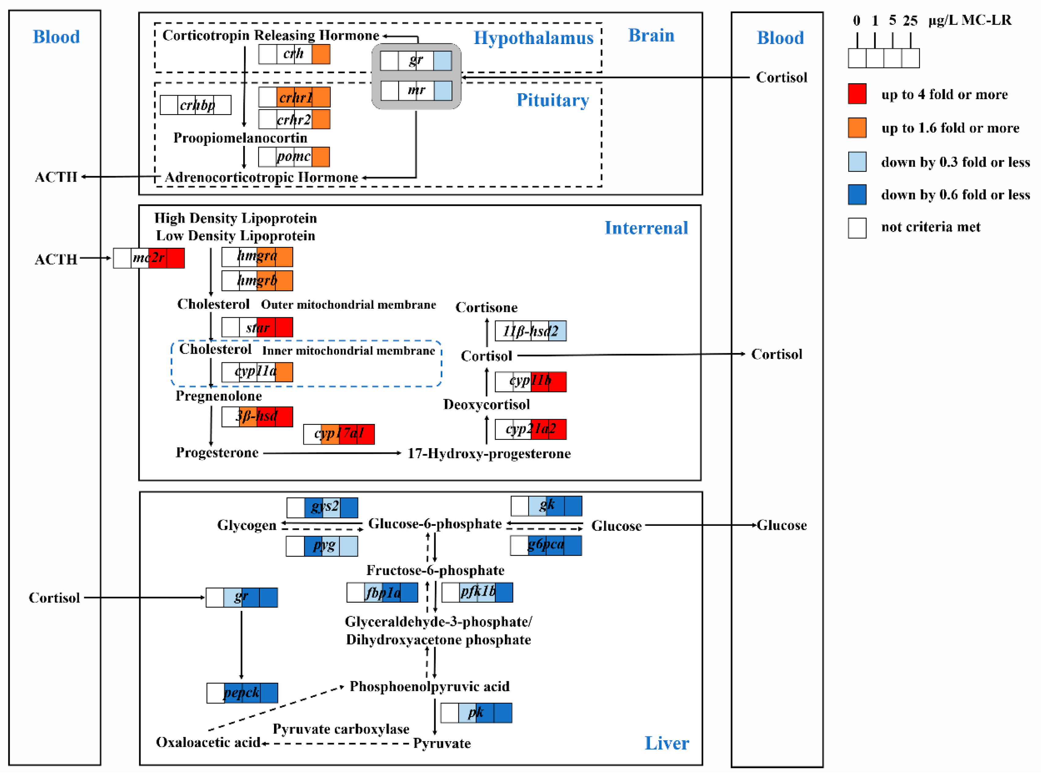 Toxins 12 00282 g004 Toxins 12 00282 g004