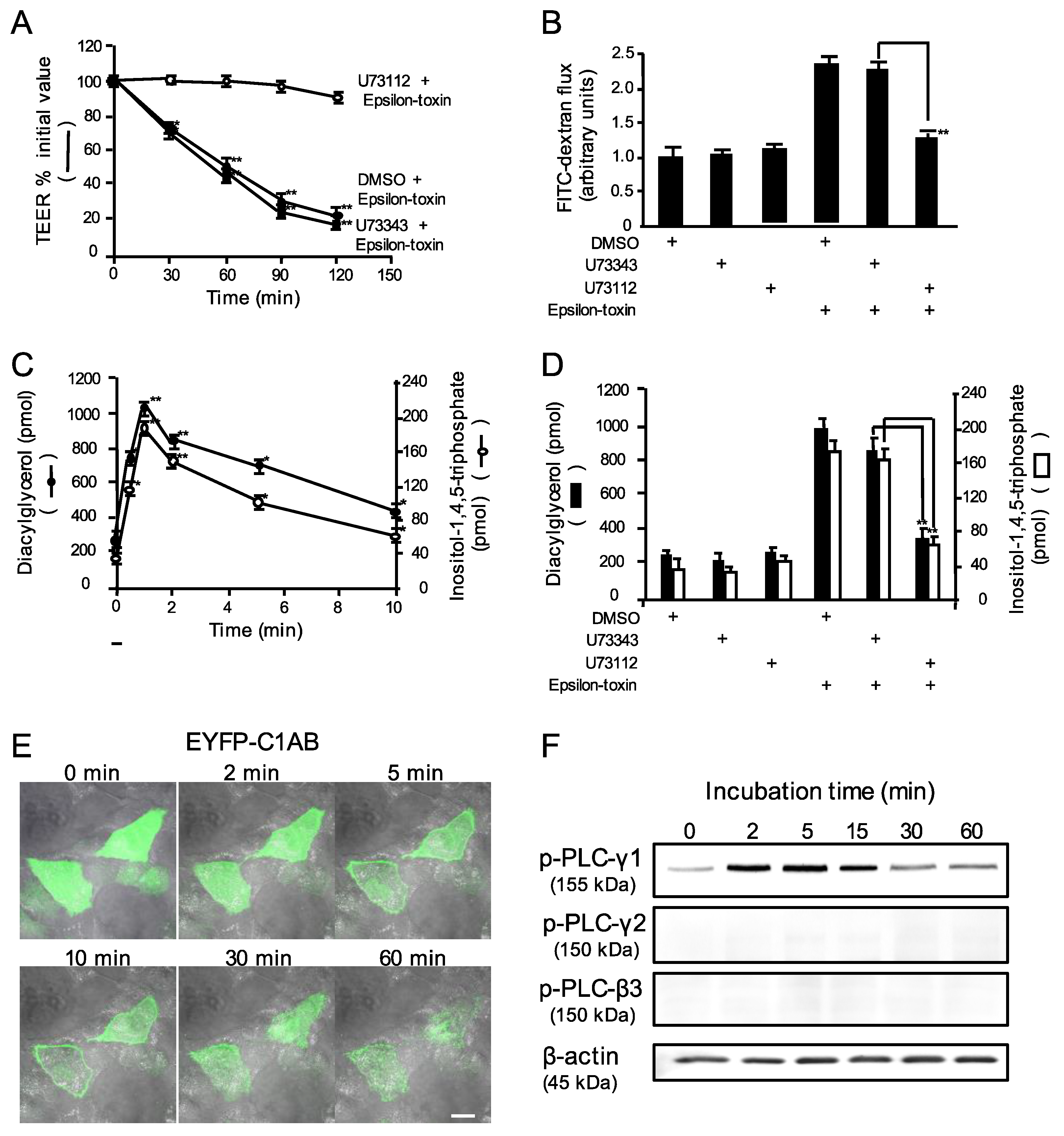 Toxins 12 00286 g002 Toxins 12 00286 g002