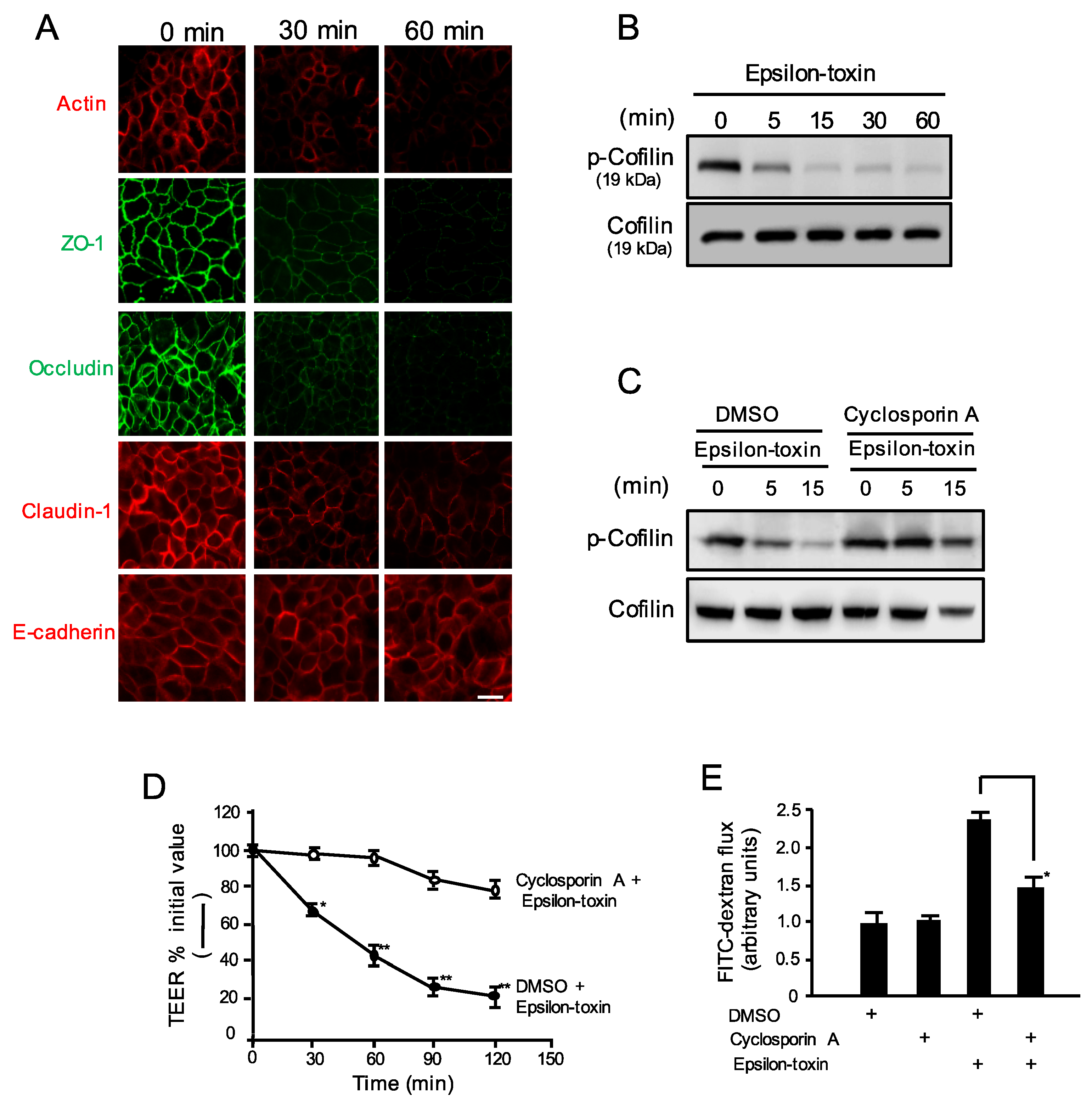 Toxins 12 00286 g004 Toxins 12 00286 g004