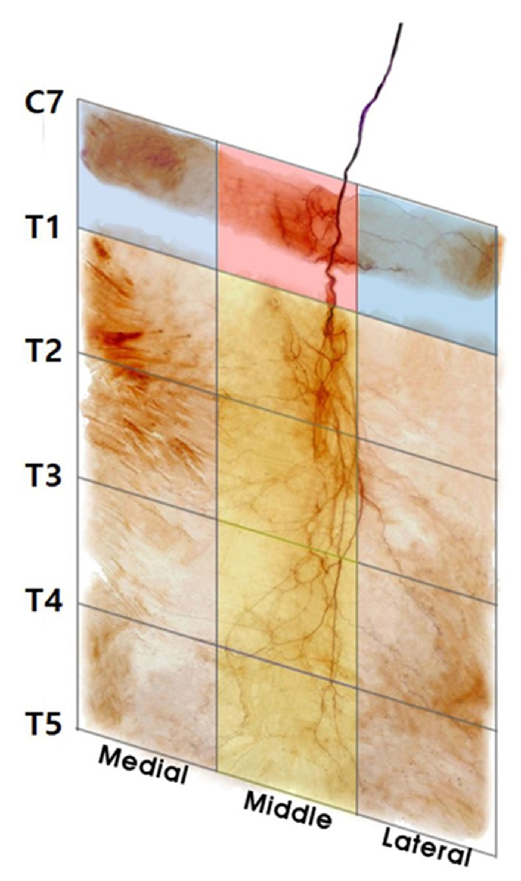 Toxins 12 00289 g002 Toxins 12 00289 g002