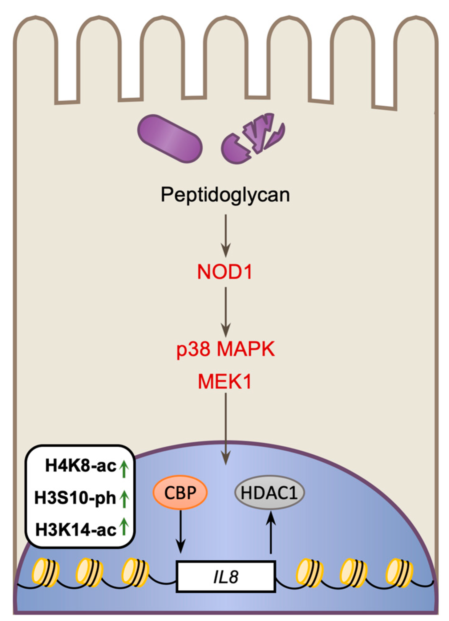Toxins 12 00294 g002 Toxins 12 00294 g002