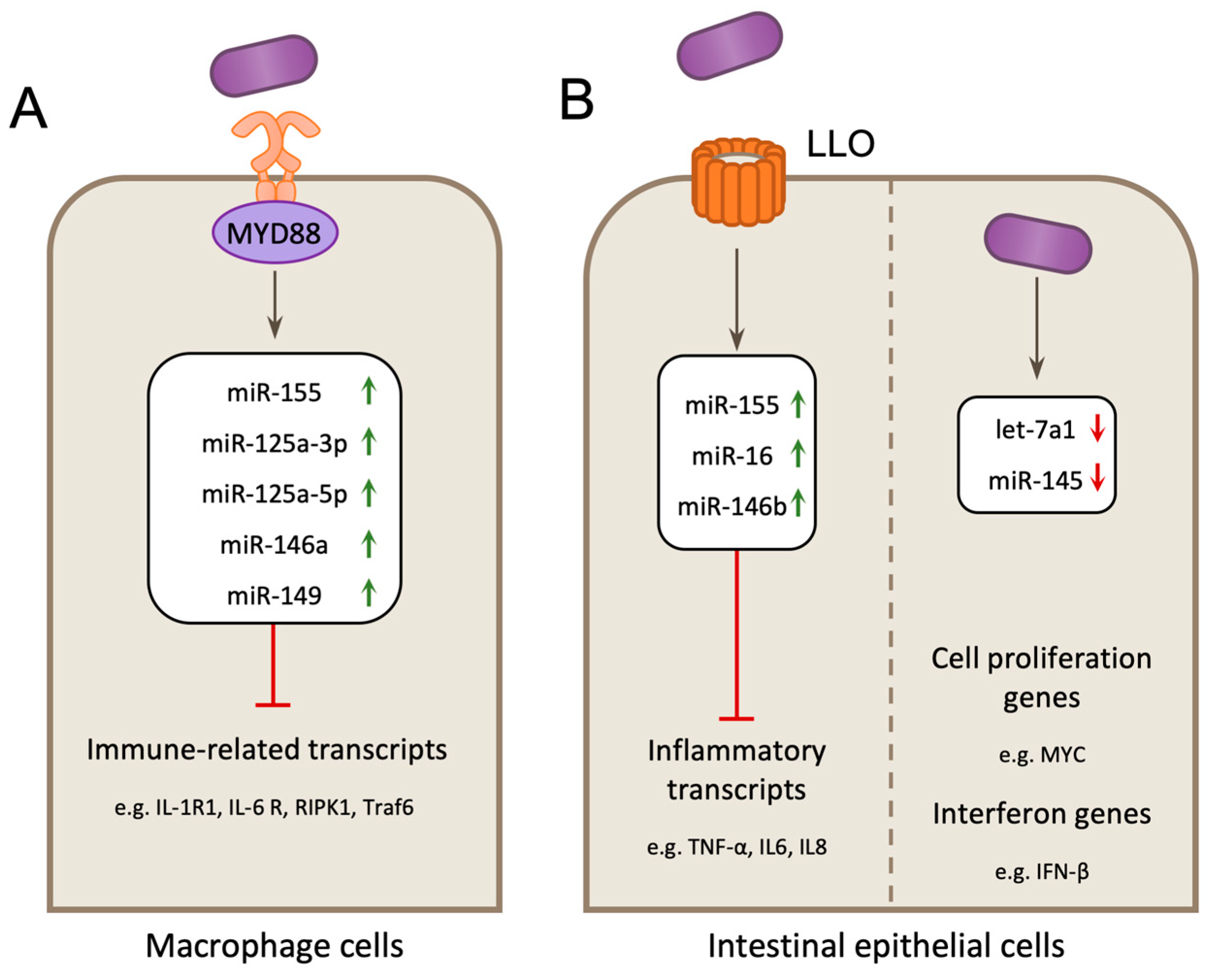 Toxins 12 00294 g005 Toxins 12 00294 g005