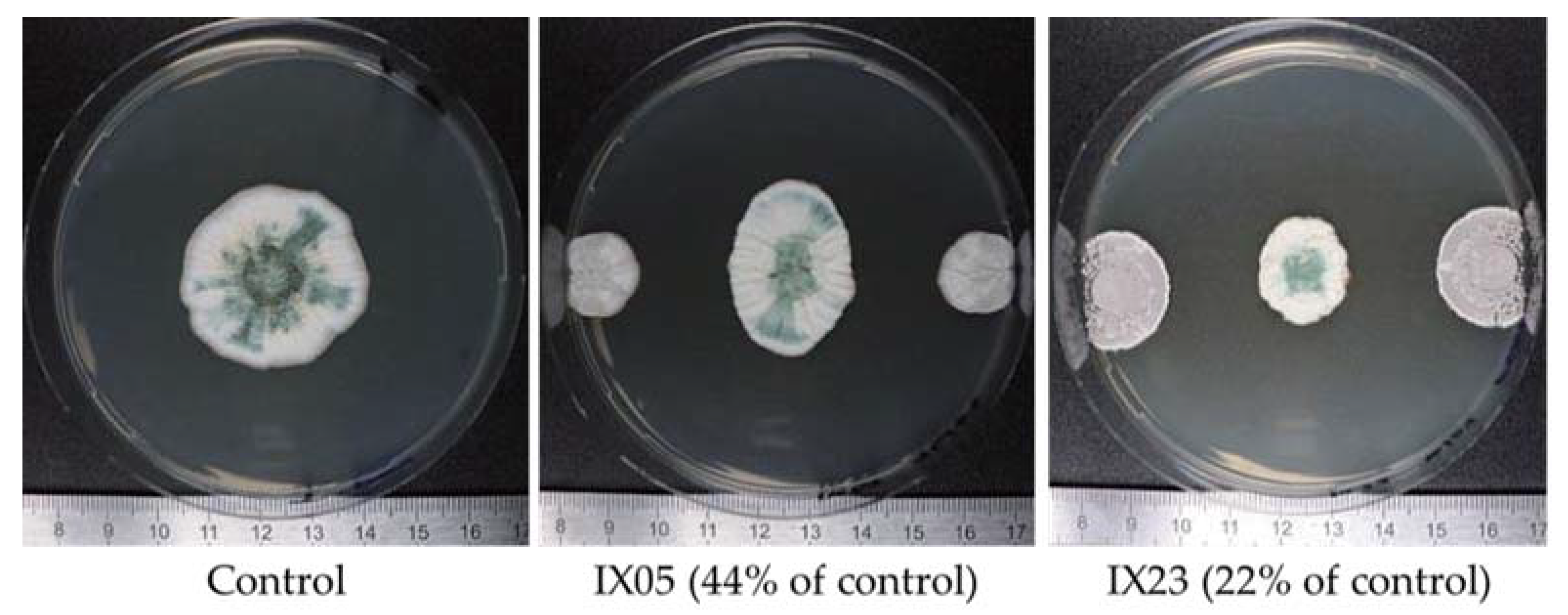 Toxins 12 00296 g002